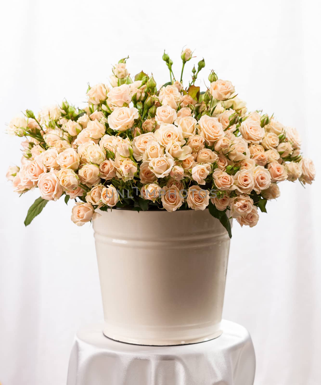 Bunch of creamy roses in a bucket by photobac