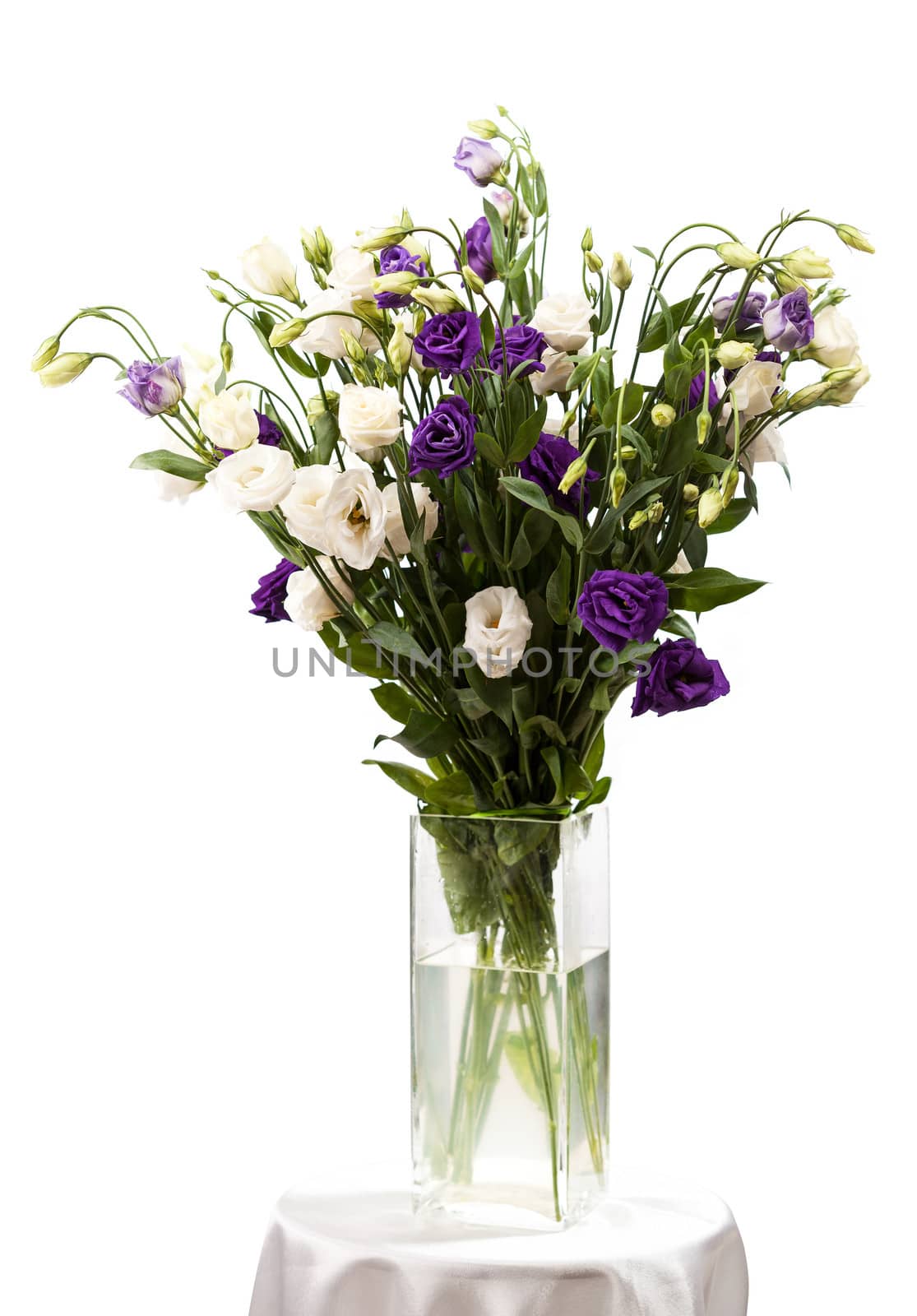 Bouquet of eustoma flowers in vases, isolated on white