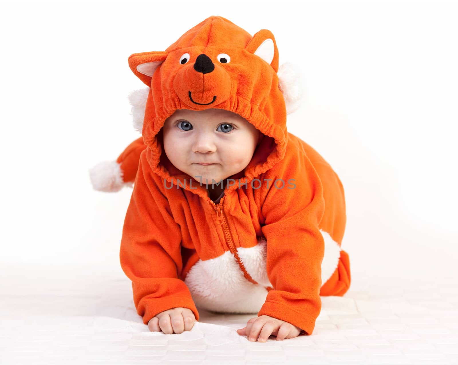 Baby boy in fox costume looking at camera on white by photobac