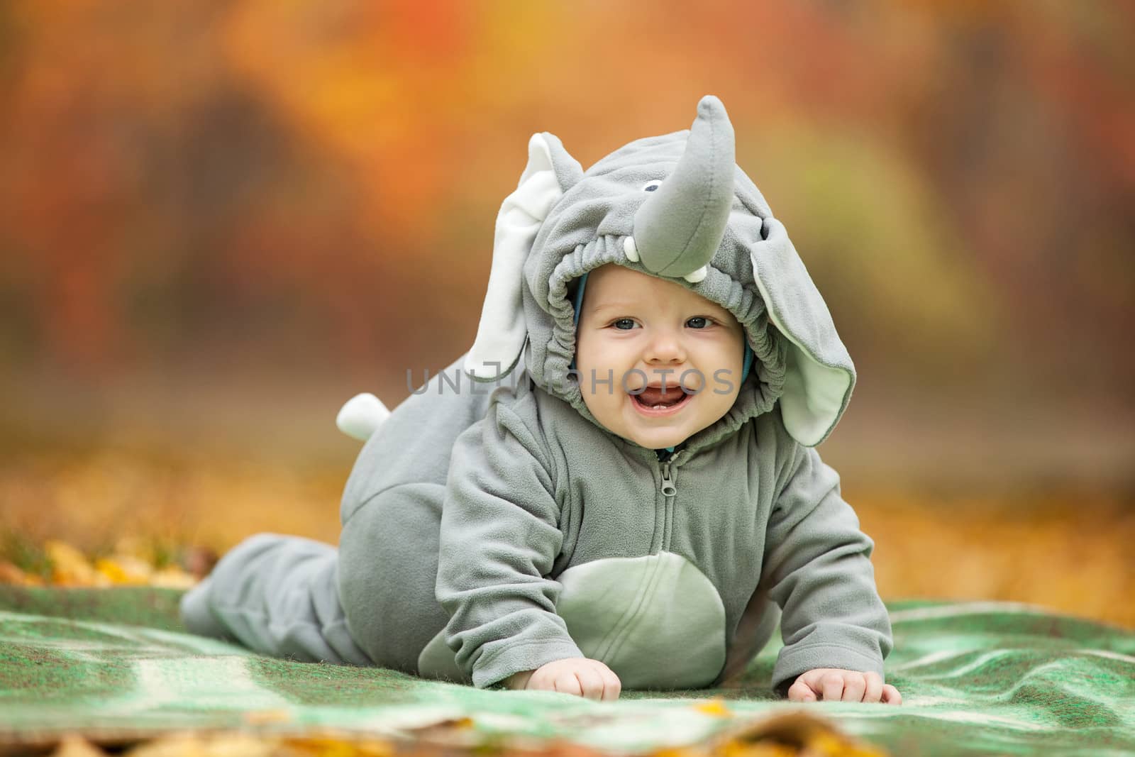Baby boy dressed in elephant costume in park by photobac