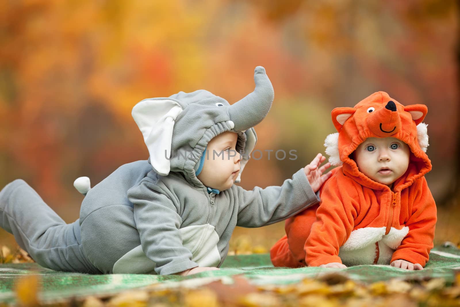 Two baby boys dressed in animal costumes in park by photobac