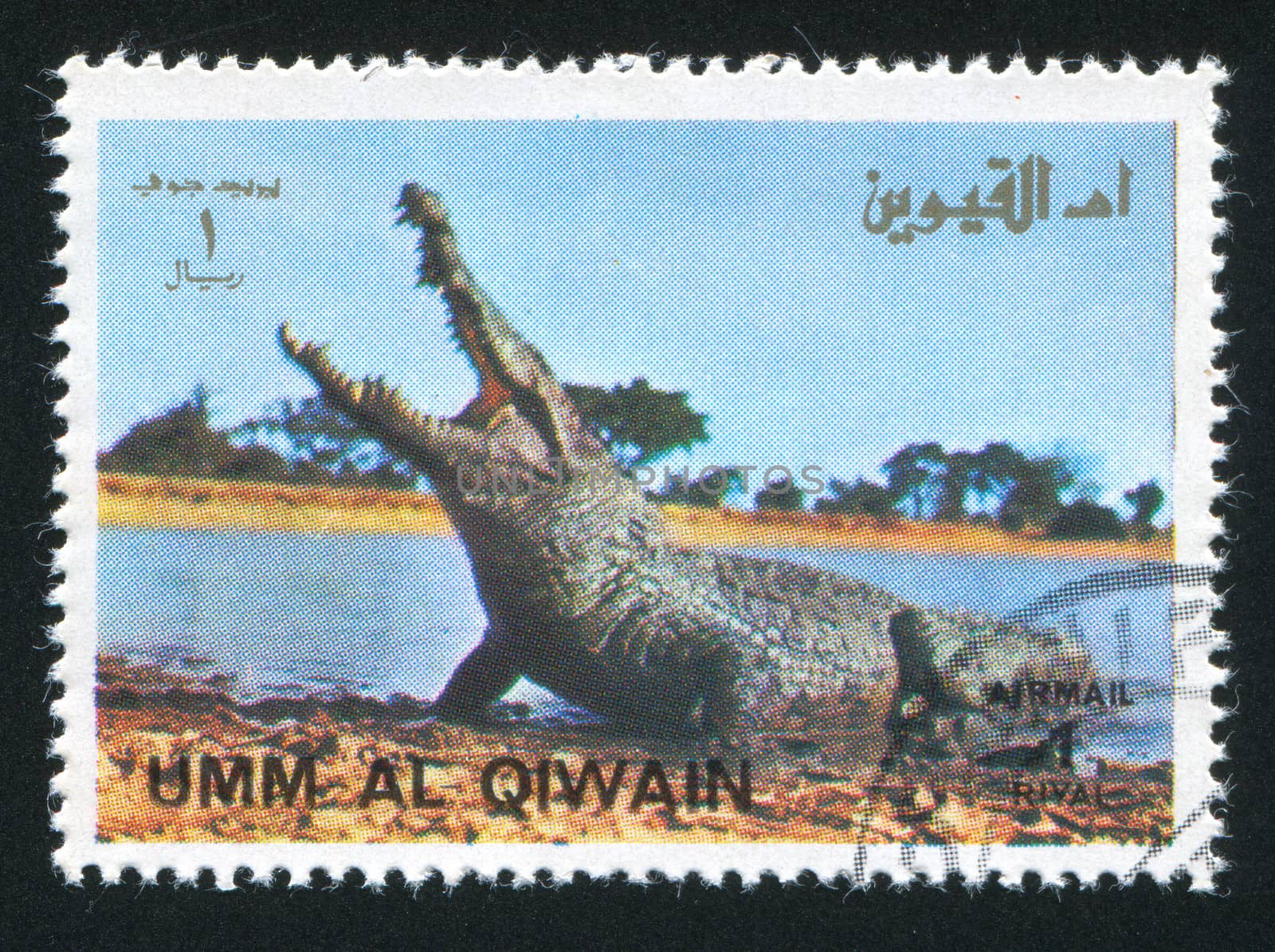 UMM AL-QUWAIN - CIRCA 1972: stamp printed by Umm al-Quwain, shows an Alligator, circa 1972