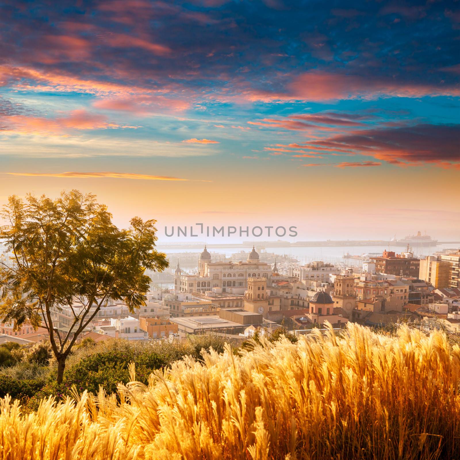 Alicante cityscape skyline in mediterranean sea Valencian Community of spain