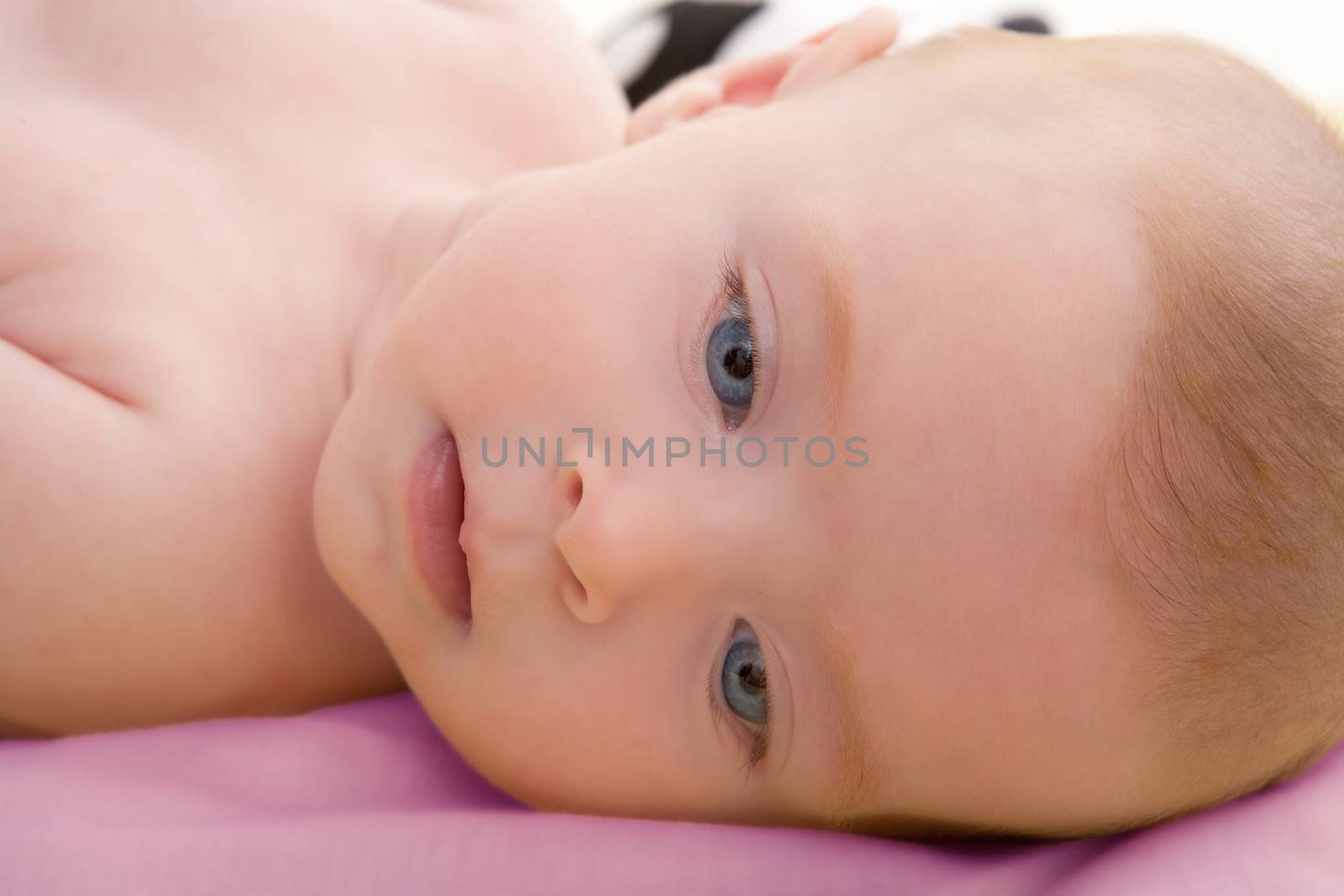 Bond little baby blue eyes lying relaxed in pink bed