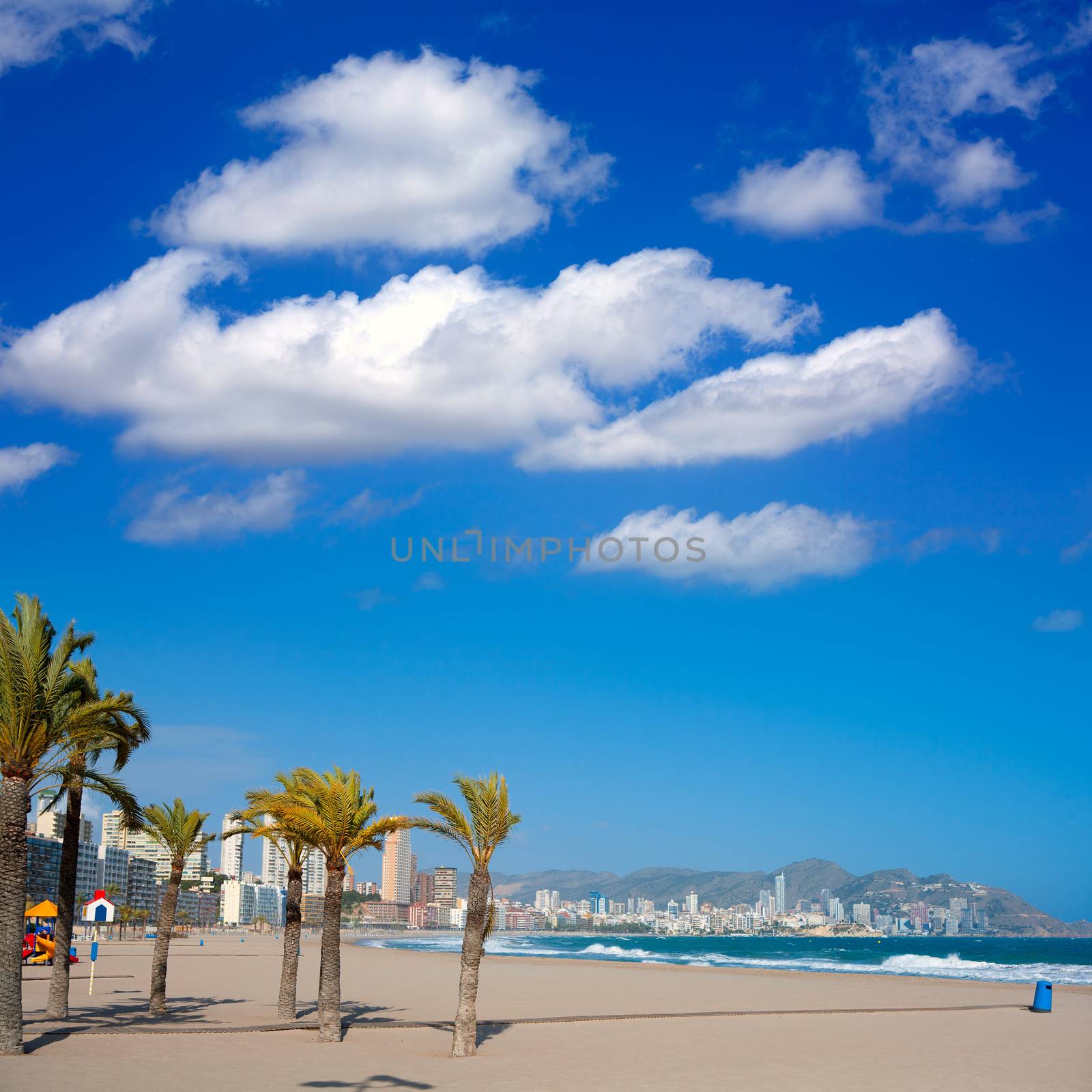 Benidorm Alicante beach palm trees and Mediterranean by lunamarina