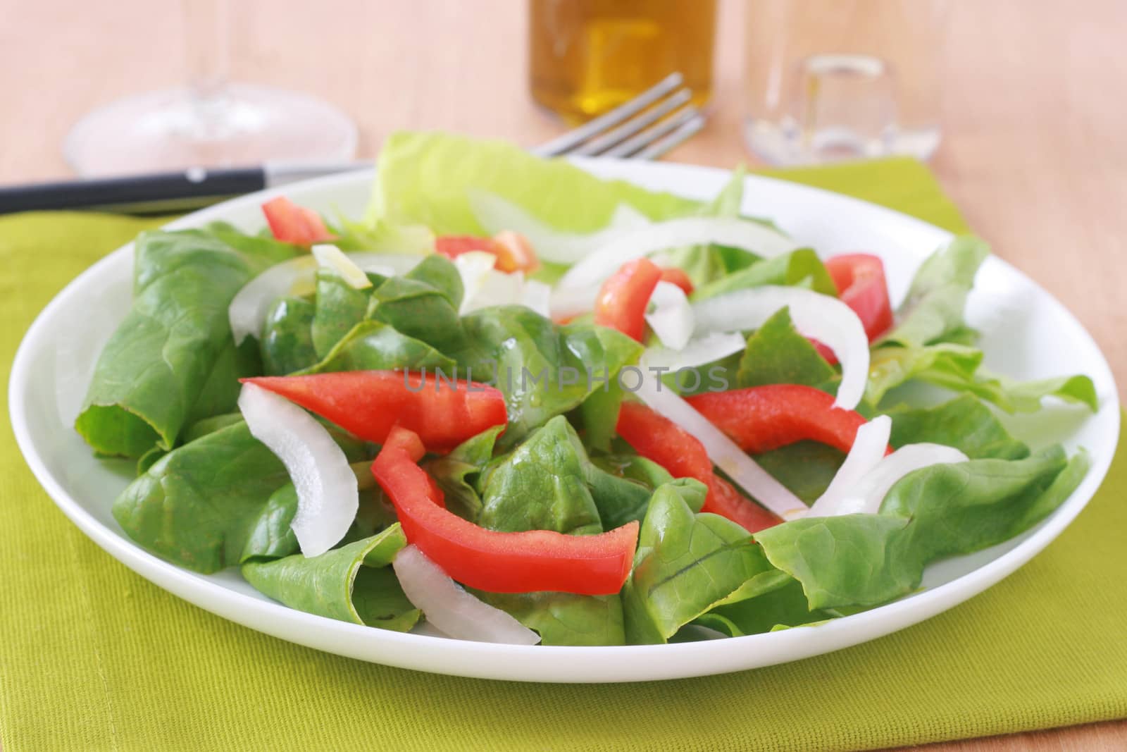 vegetable salad by nataliamylova