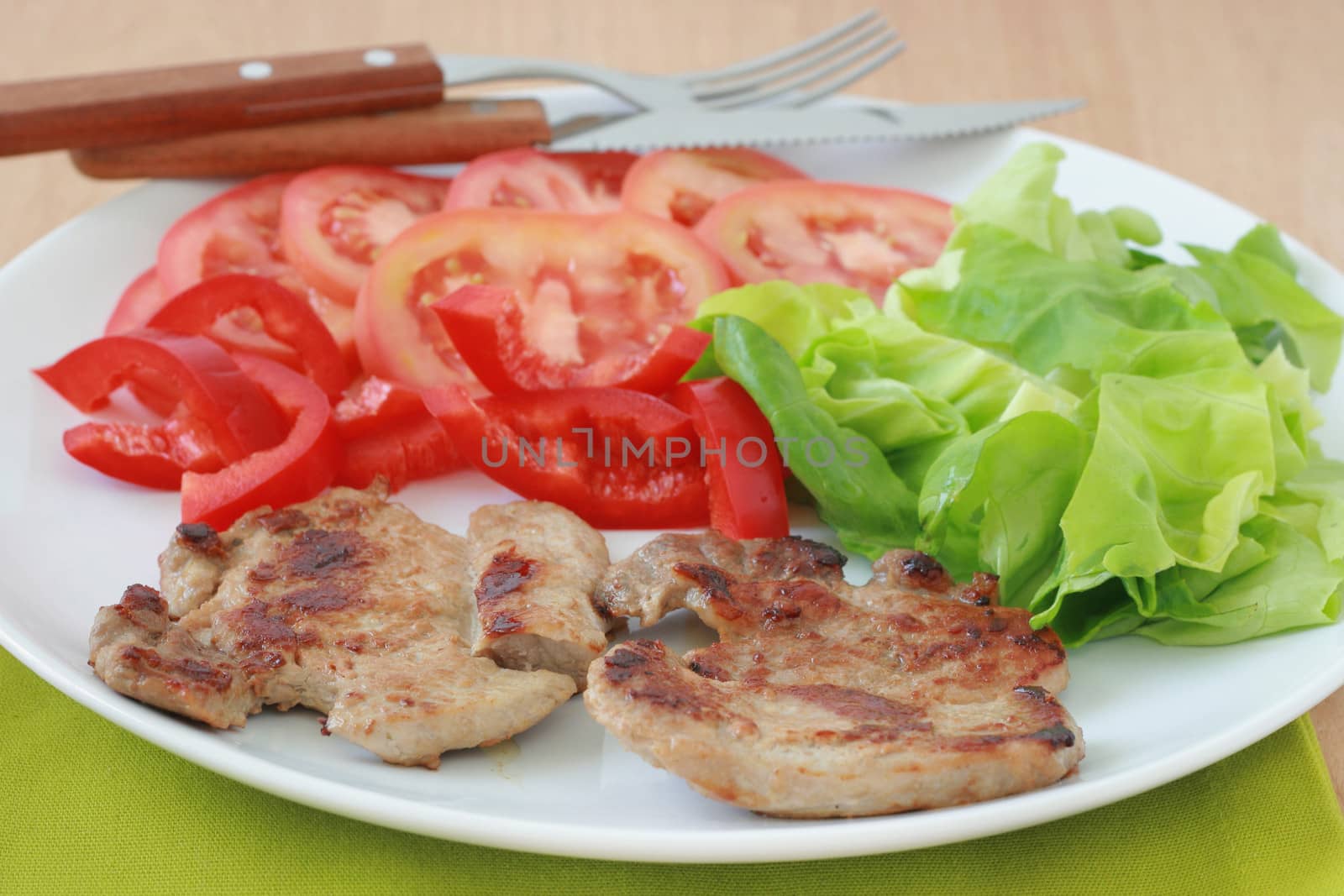 fried pork with salad on the plate by nataliamylova