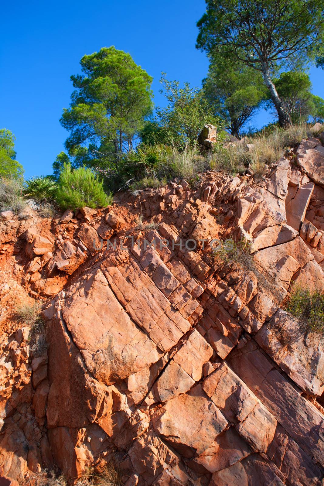 Castellon Desierto de las Palmas desert red mountains with pines at Spain