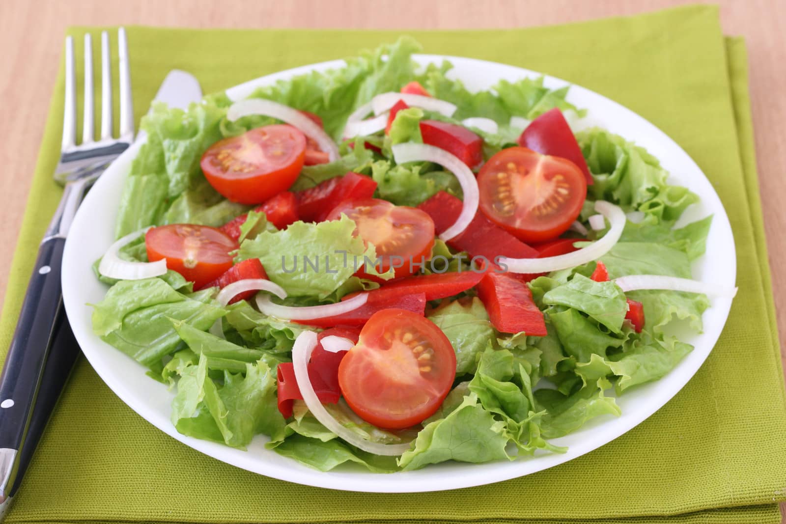 vegetable salad by nataliamylova
