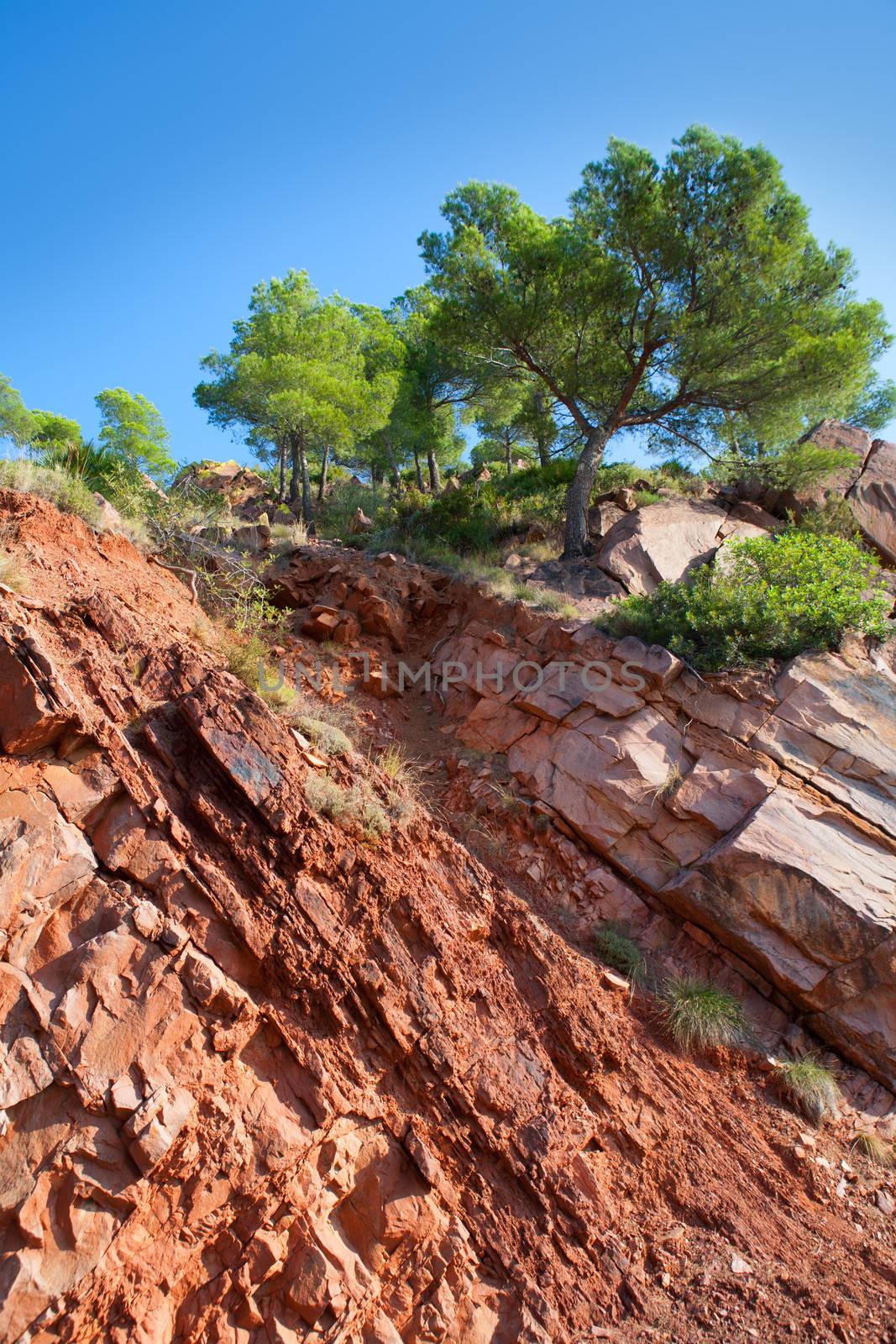 Castellon Desierto de las Palmas desert red mountains by lunamarina