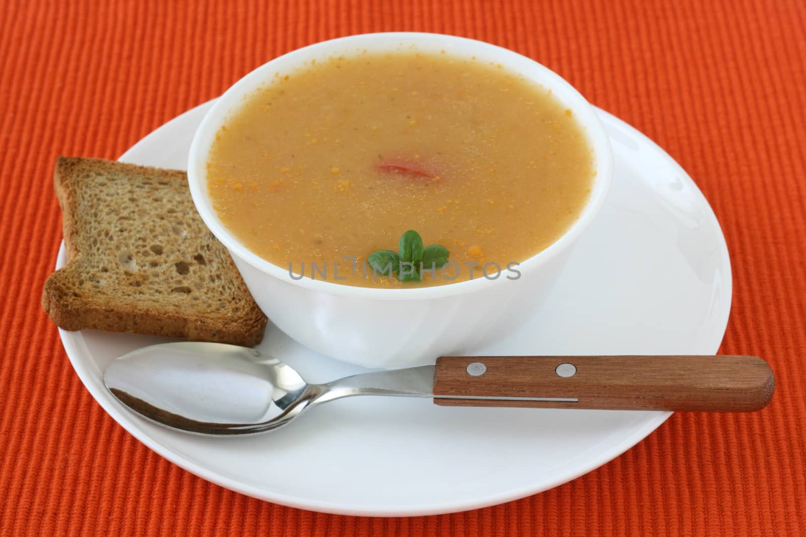 soup with toast by nataliamylova