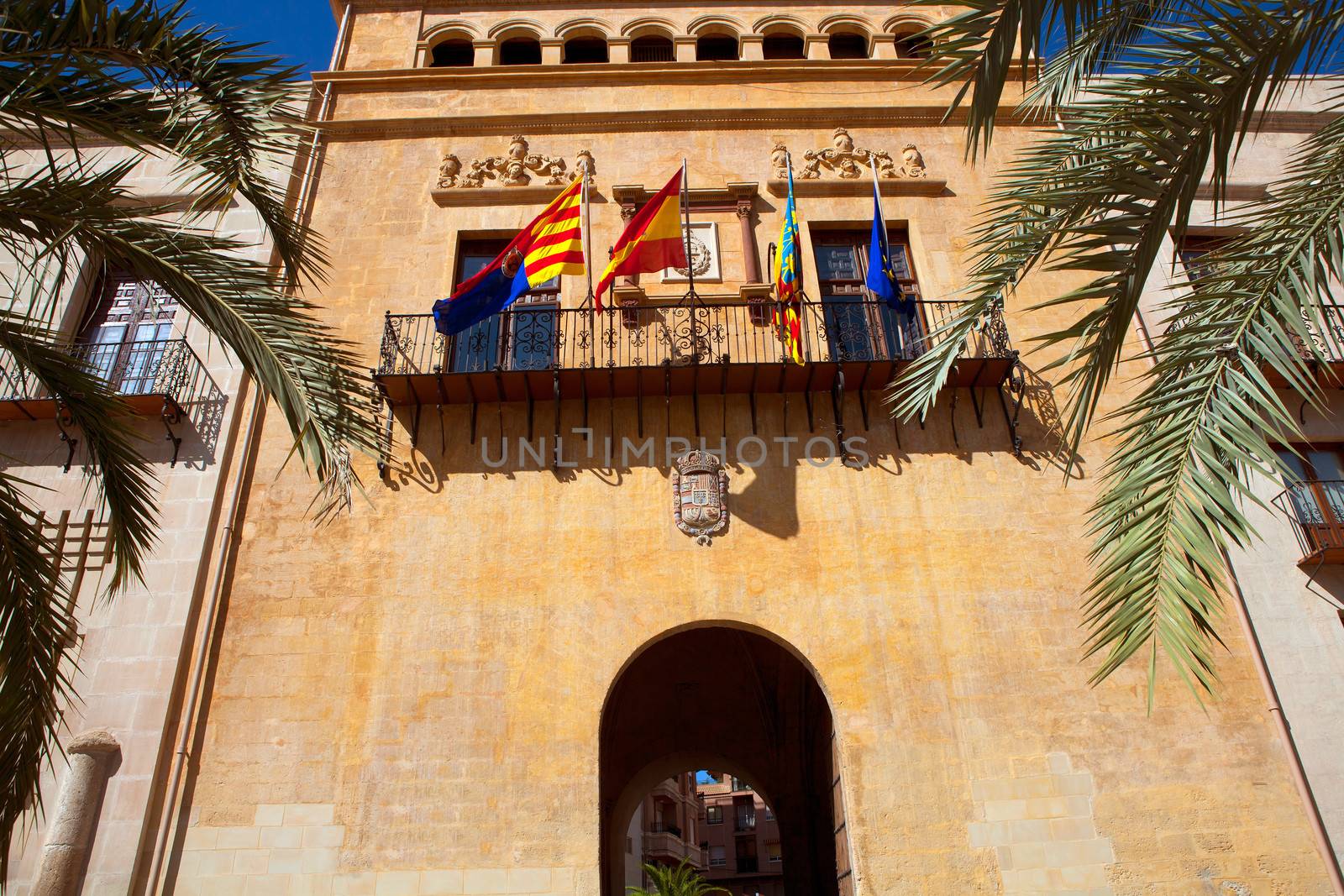 Elche Elx Alicante Ayuntamiento city town hall by lunamarina