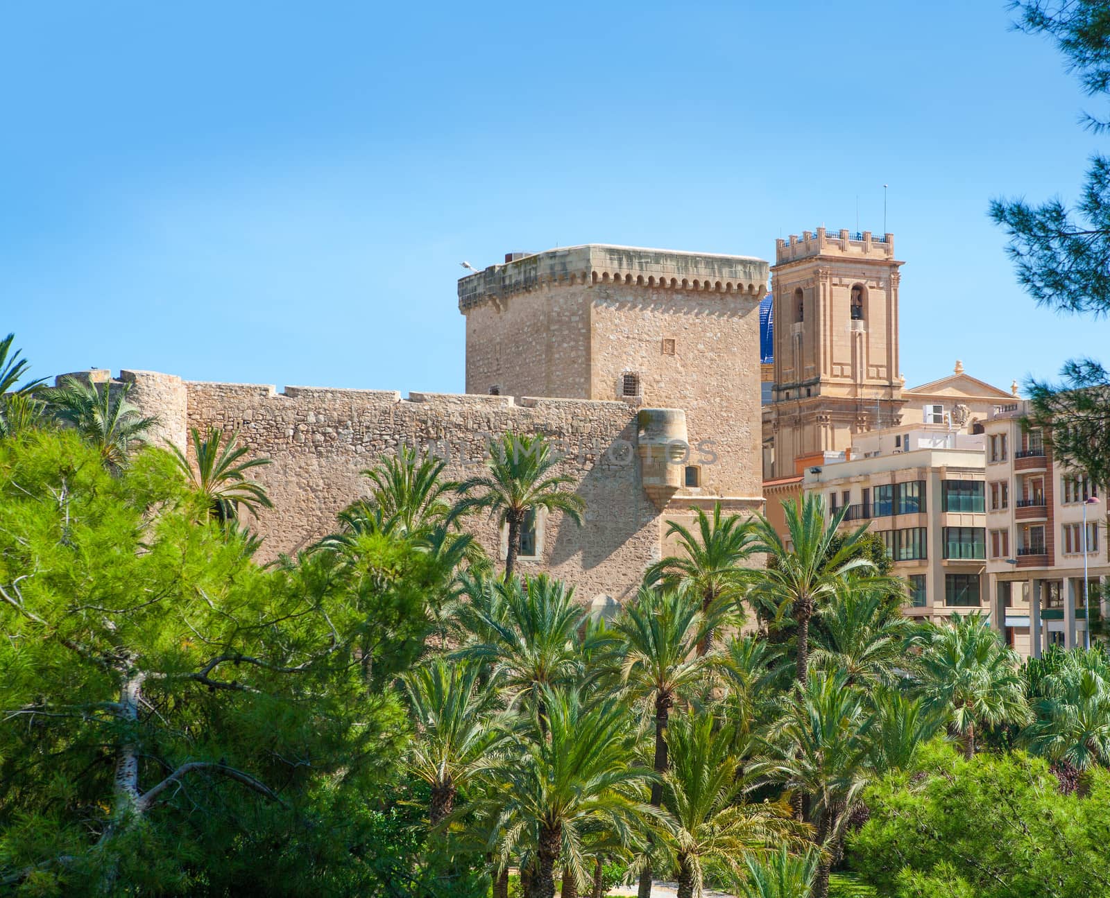 Elche Elx Alicante el Palmeral Palm trees Park and Altamira Pala by lunamarina