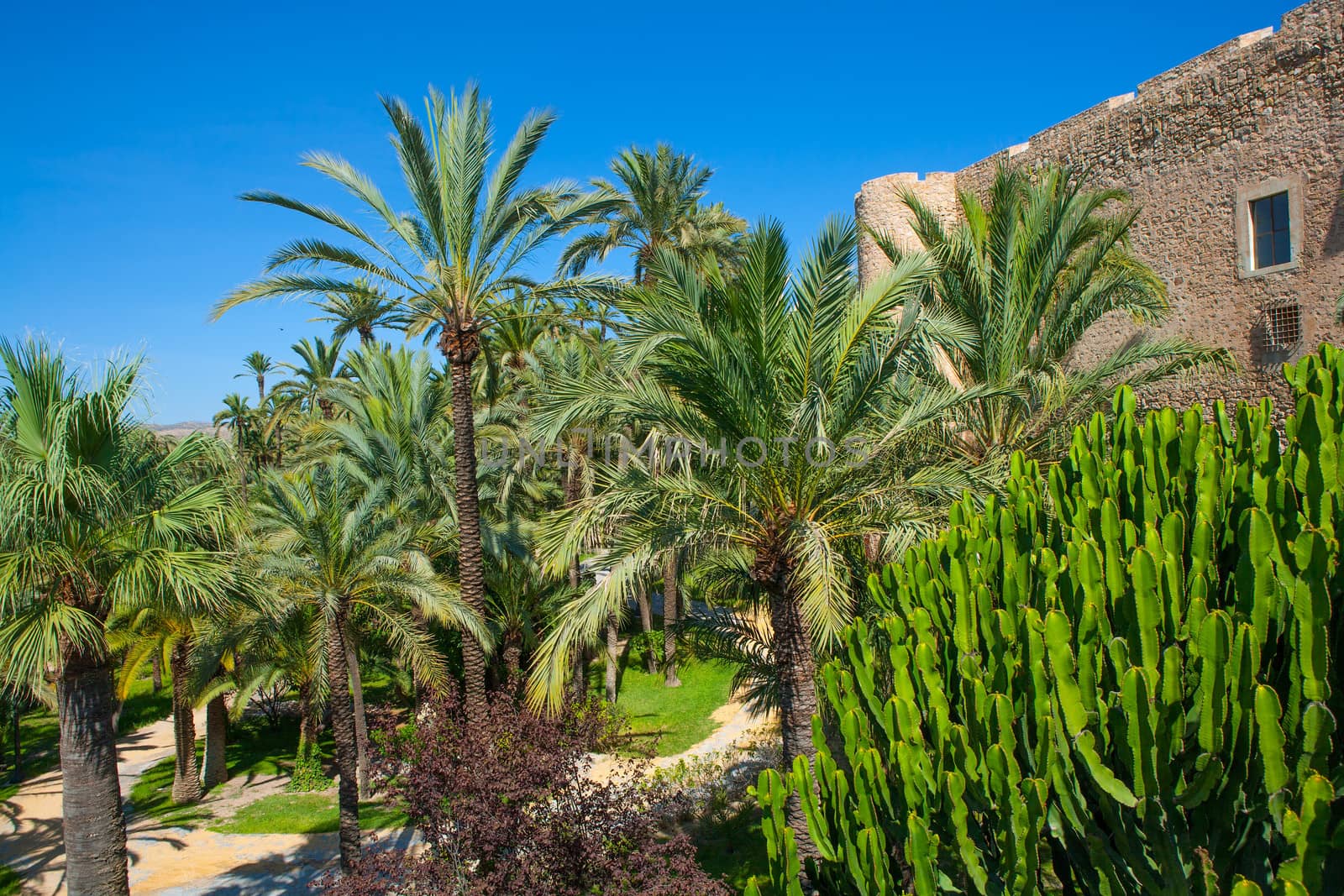 Elche Elx Alicante el Palmeral Palm trees park and Altamira Palace Spain