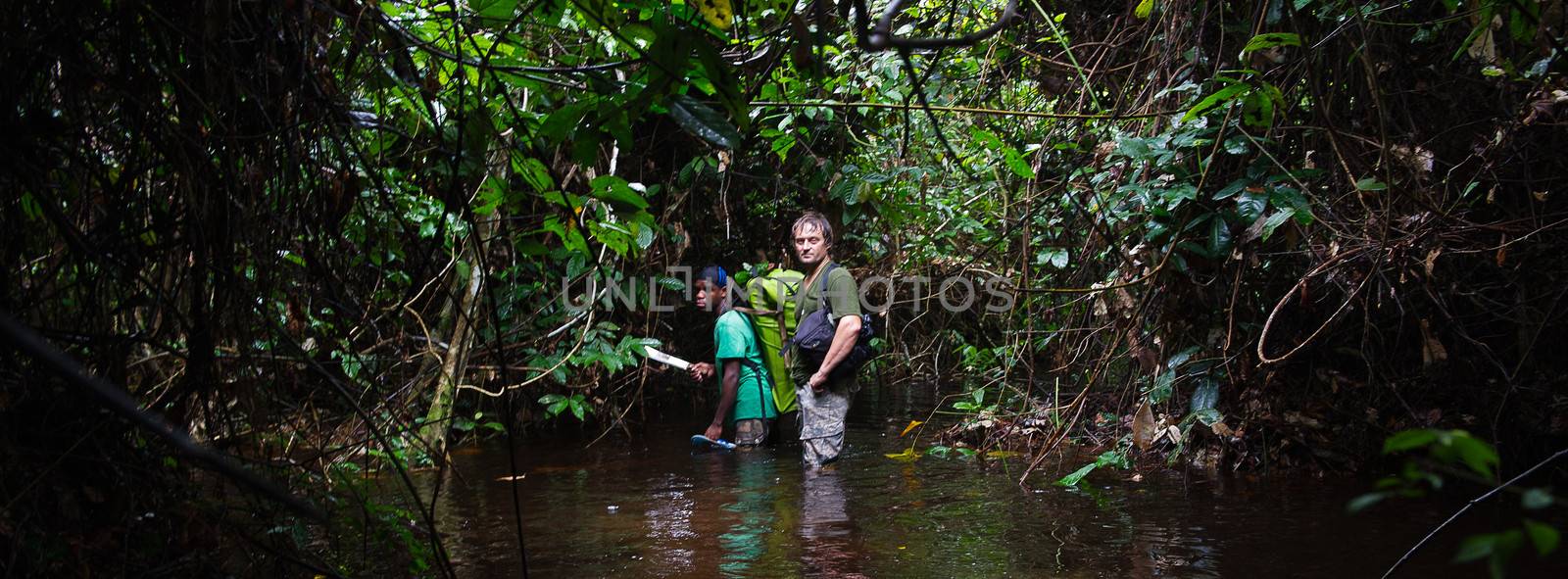 JUNGLE, CONGO, AFRICA - OCTOBER 2: The photographer in the jungle goes through a bog. October 2, 2013, Jungle, Republic of Congo. Africa. 