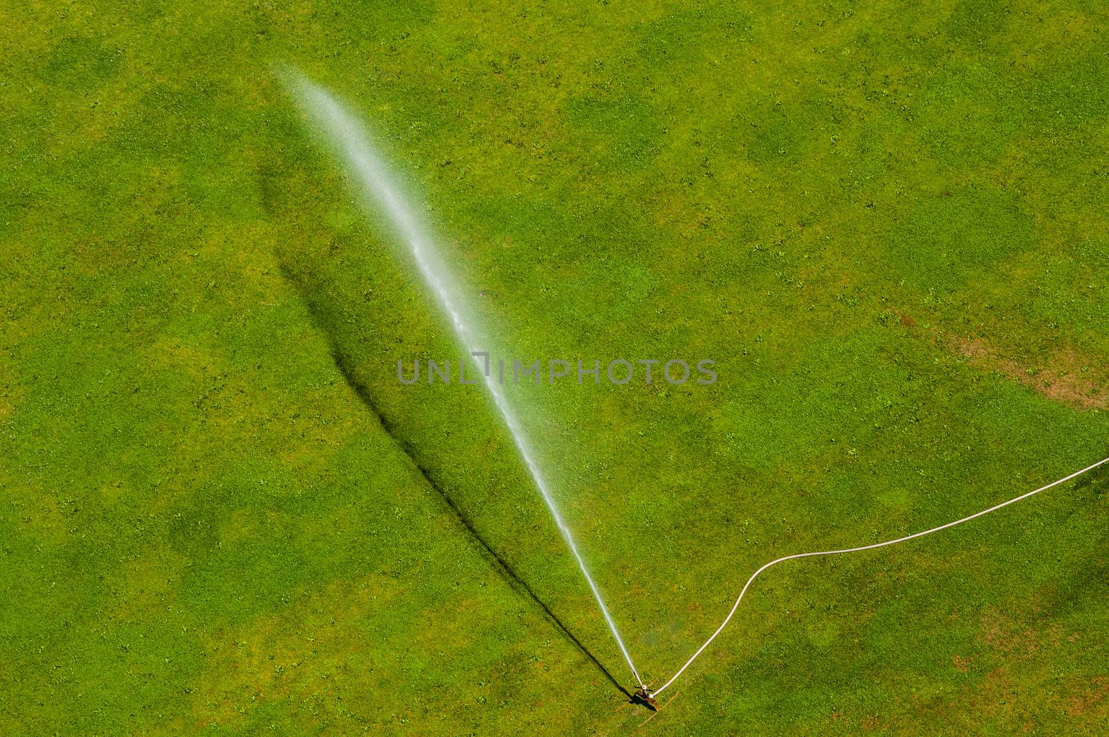 lawn in summer getting watered by a sprinkler