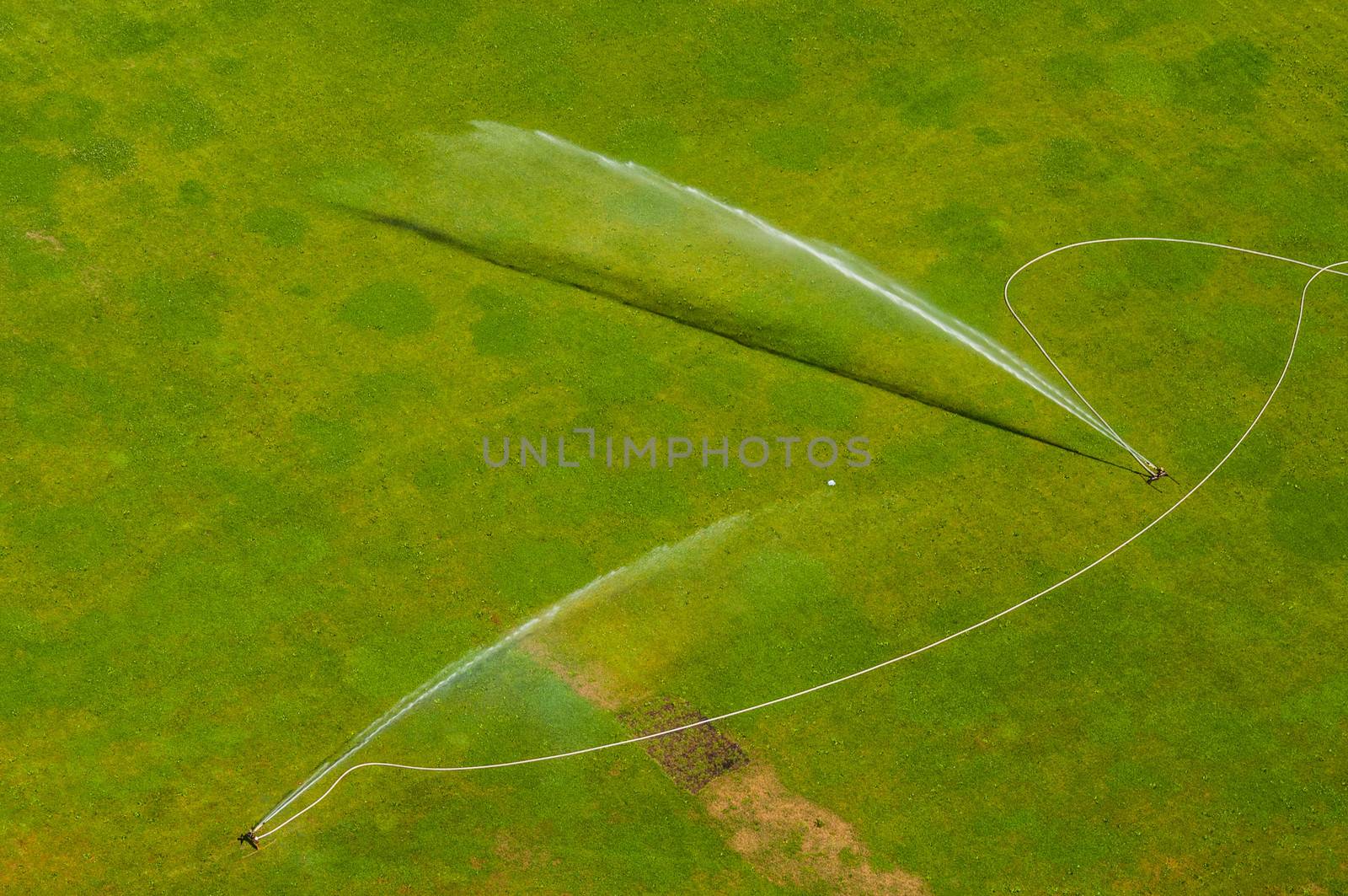 Watering the green by Jule_Berlin