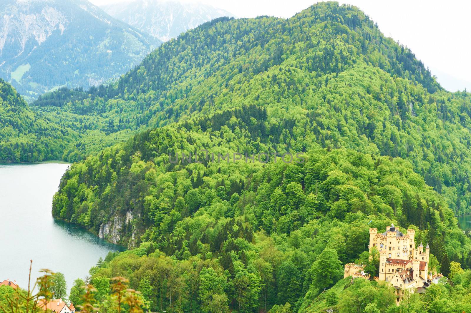 Landscape with castle of Hohenschwangau in Germany by haveseen