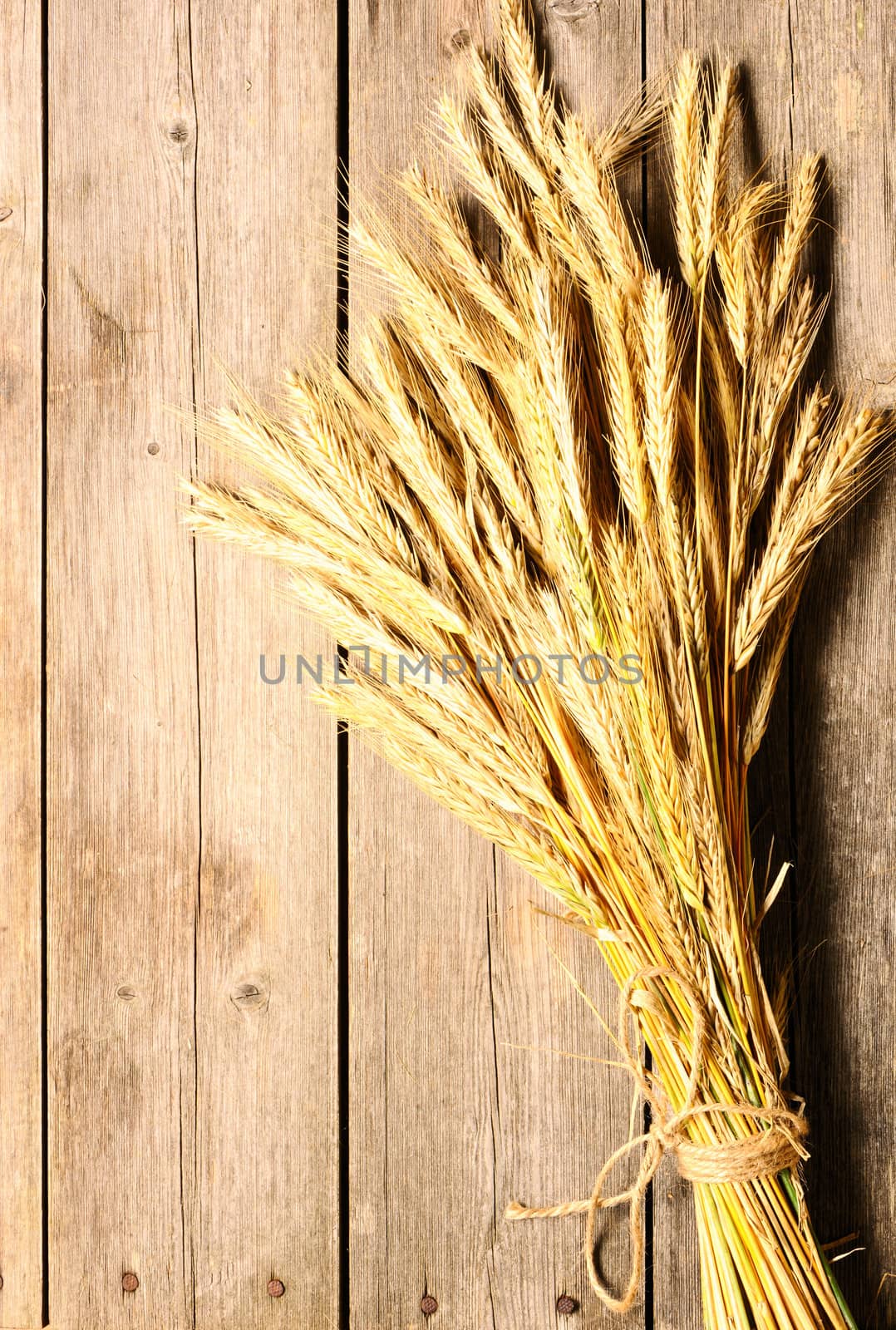 Rye spikelets over wooden background by haveseen