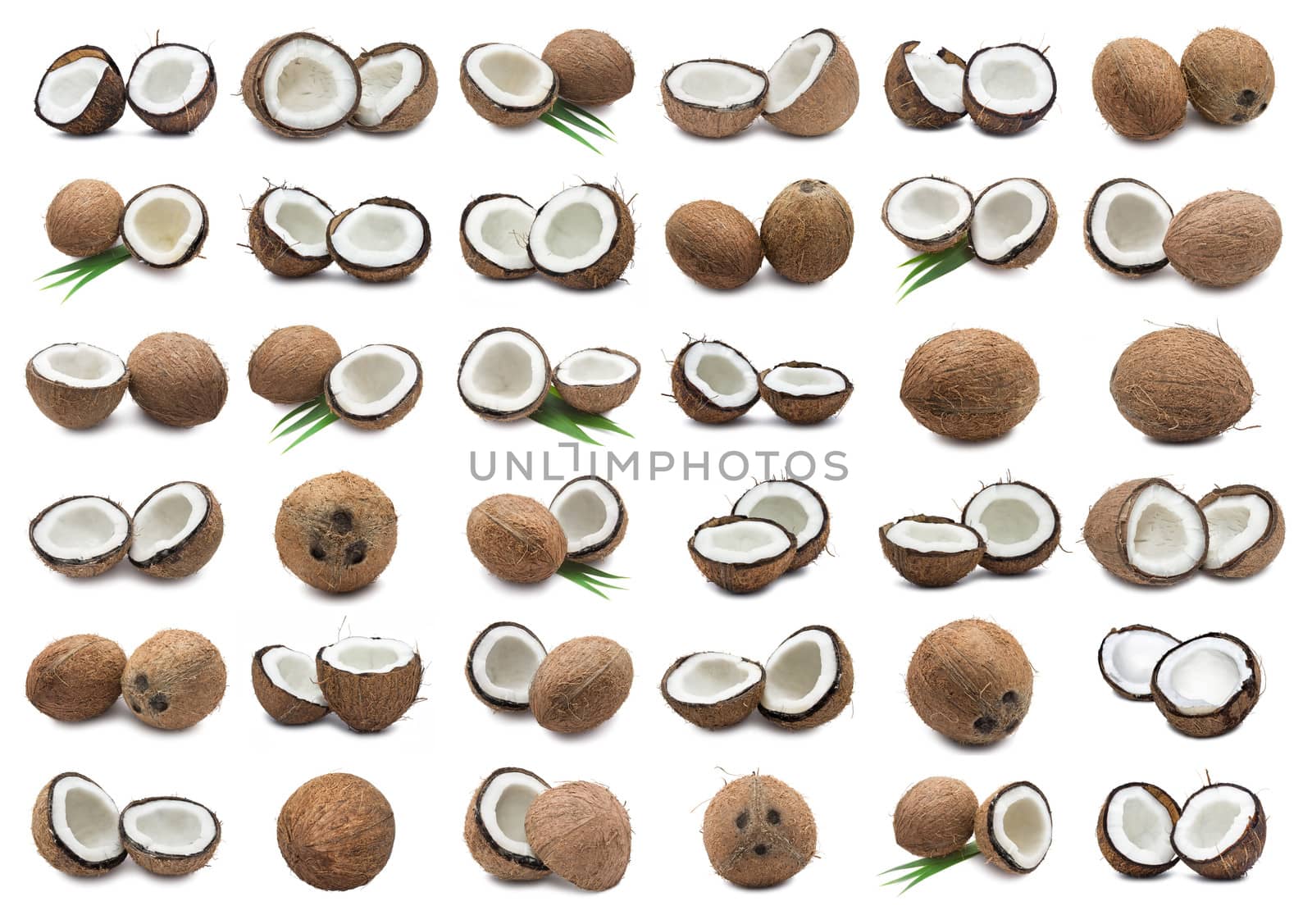 Collection of fresh coconuts isolated on white background