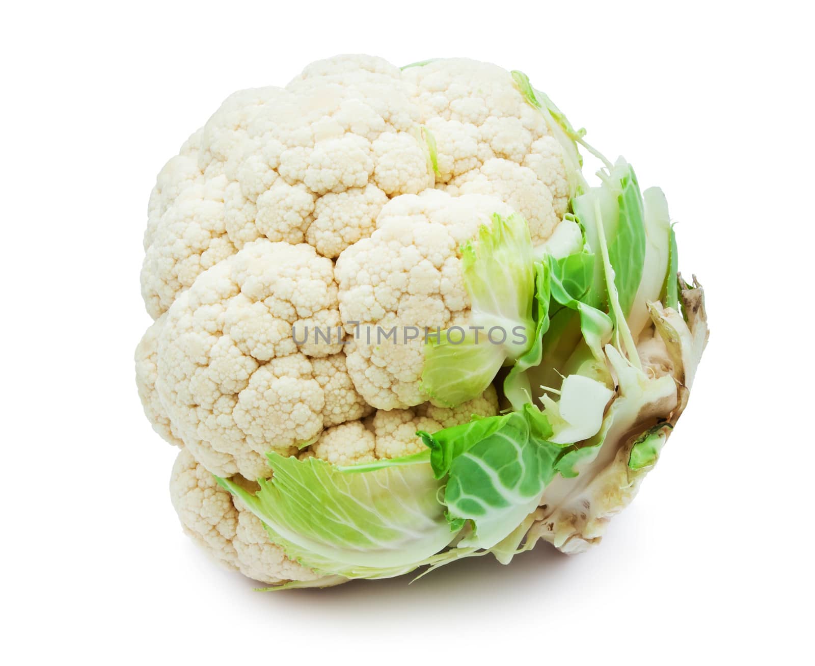 Single fresh cauliflower isolated on white background