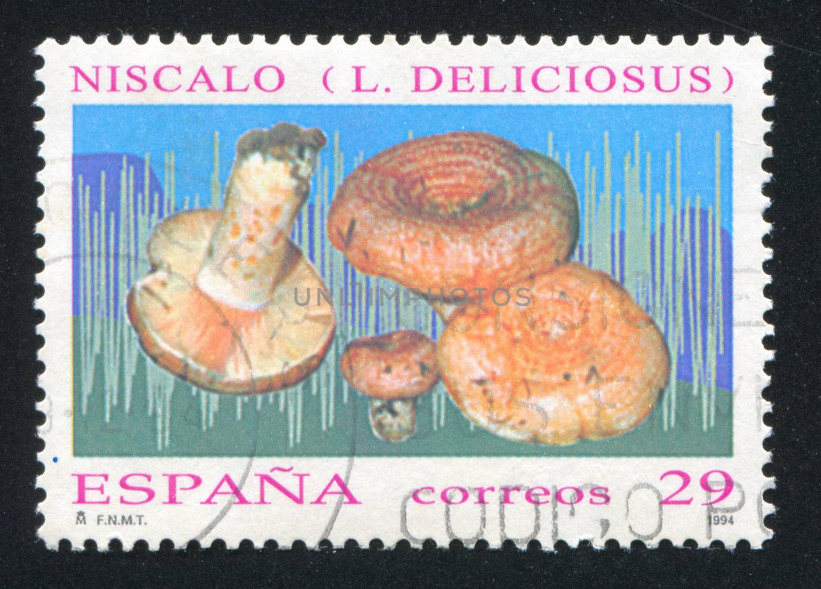 SPAIN - CIRCA 1994: stamp printed by Spain, shows Mushrooms, circa 1994