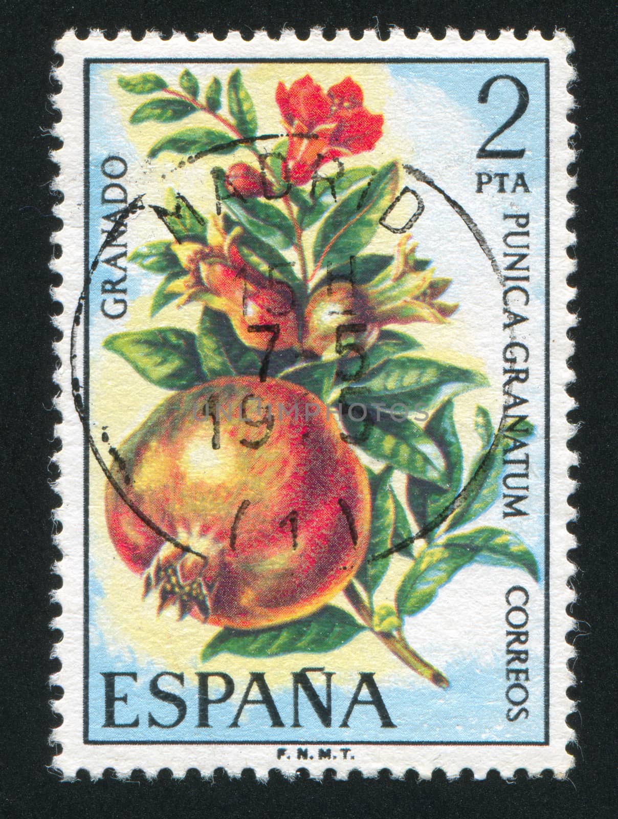 SPAIN - CIRCA 1975: stamp printed by Spain, shows Pomegranates, circa 1975