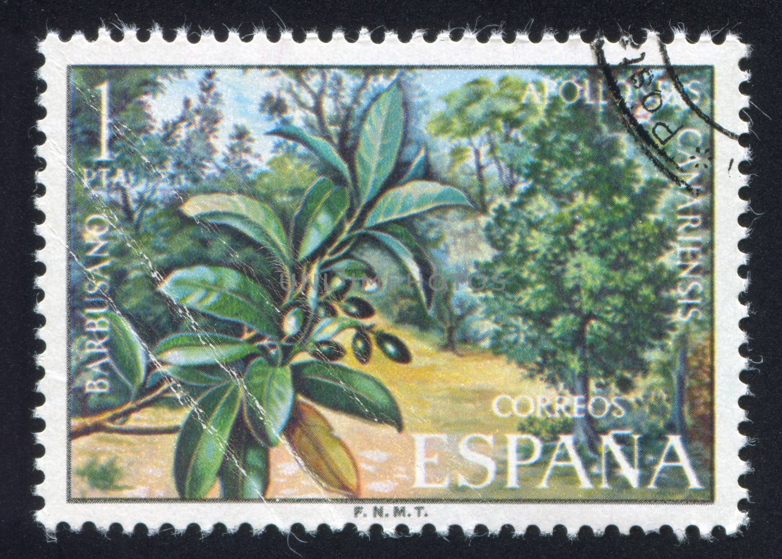 SPAIN - CIRCA 1976: stamp printed by Spain, shows Barbusano, circa 1976