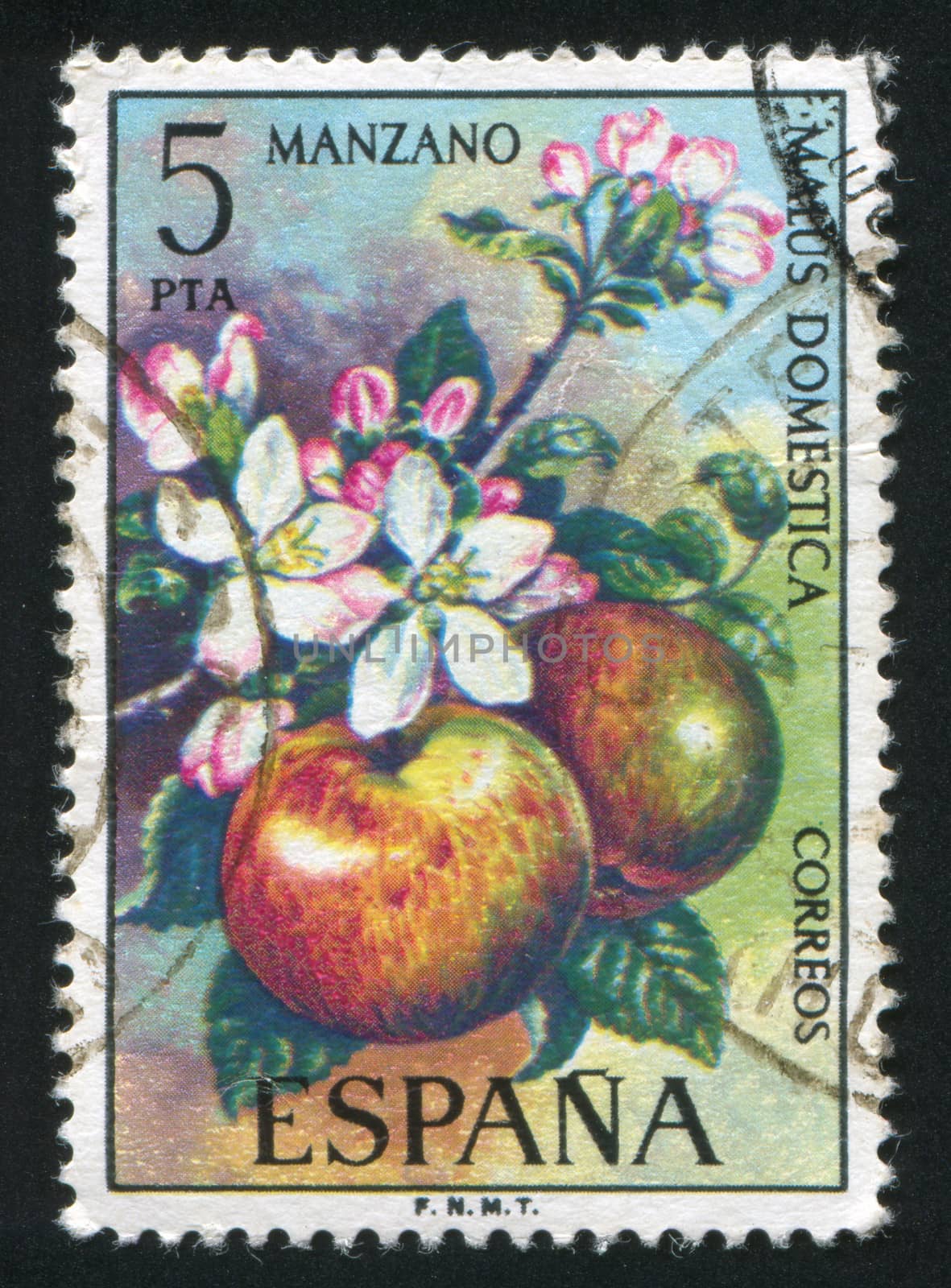 SPAIN - CIRCA 1975: stamp printed by Spain, shows Apple Tree, circa 1975