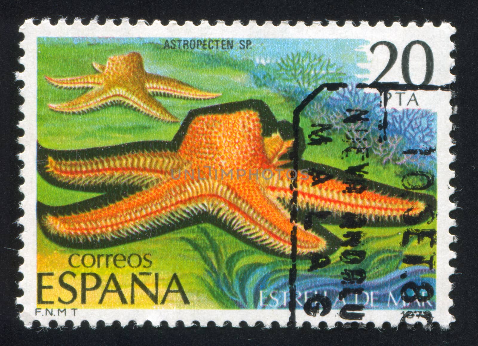 SPAIN - CIRCA 1979: stamp printed by Spain, shows Starfish, Sea coast, circa 1979