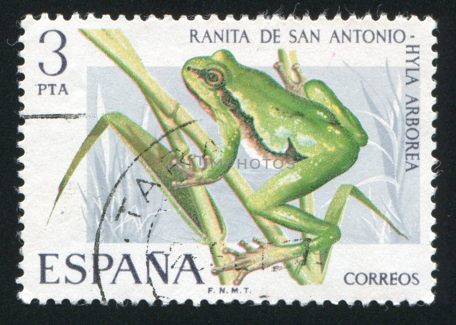 SPAIN - CIRCA 1975: stamp printed by Spain, shows Tree Toad, circa 1975