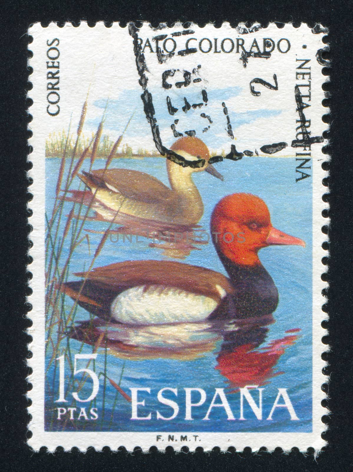 SPAIN - CIRCA 1995: stamp printed by Spain, shows Mandarin Duck, circa 1995