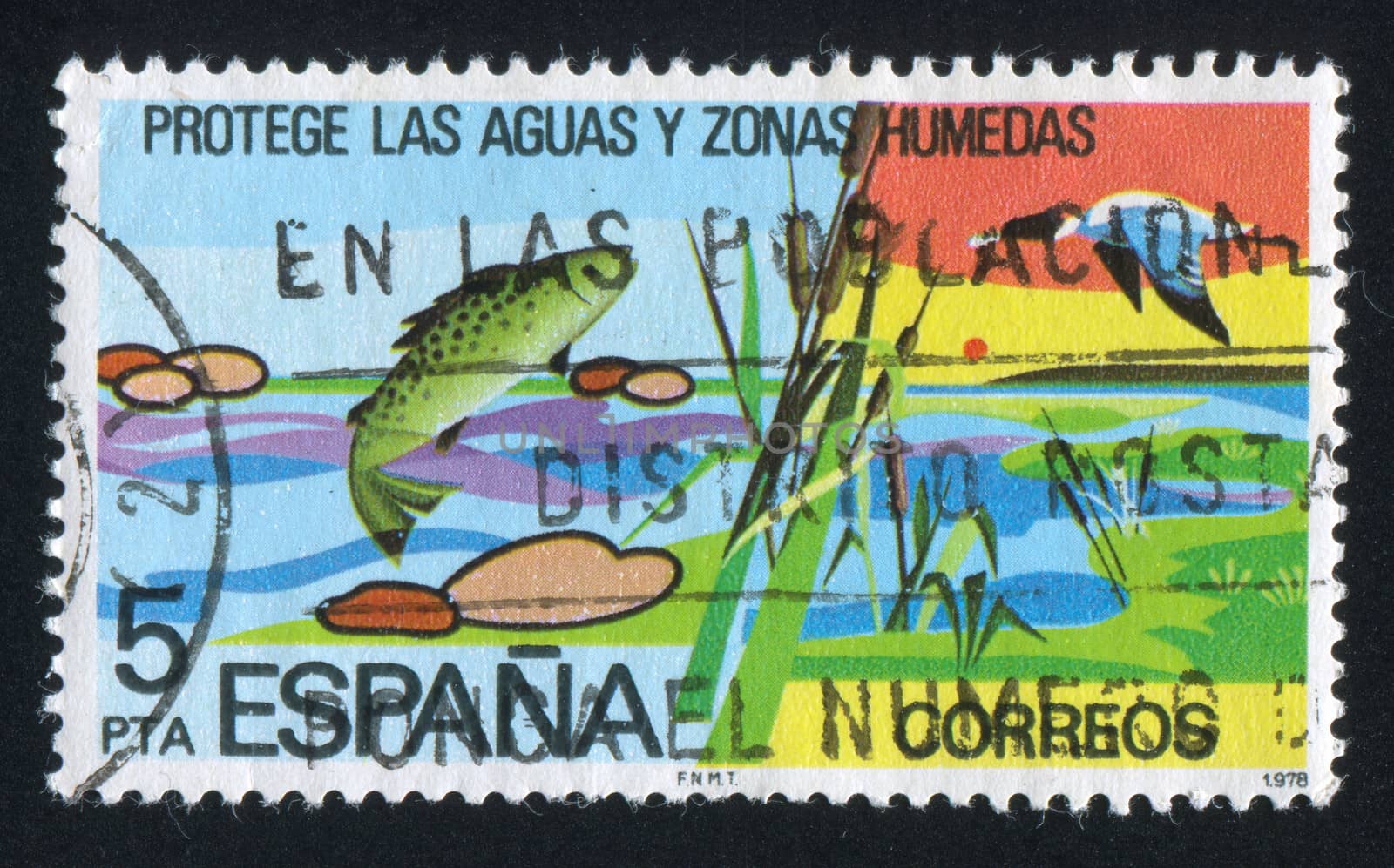 SPAIN - CIRCA 1978  : stamp printed by Spain, shows Pond, Cane, circa 1978