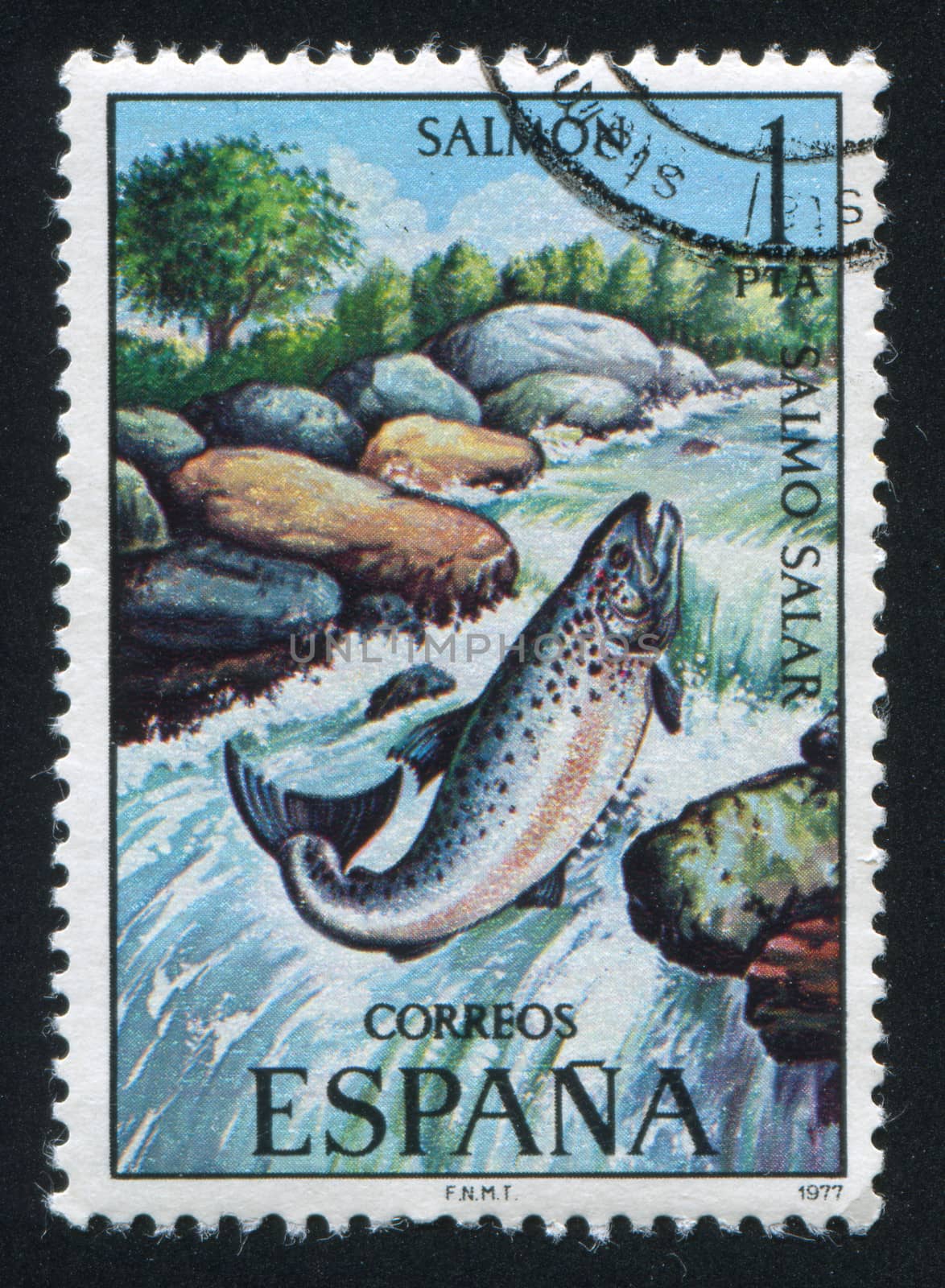 SPAIN - CIRCA 1977: stamp printed by Spain, shows Salmon, circa 1977