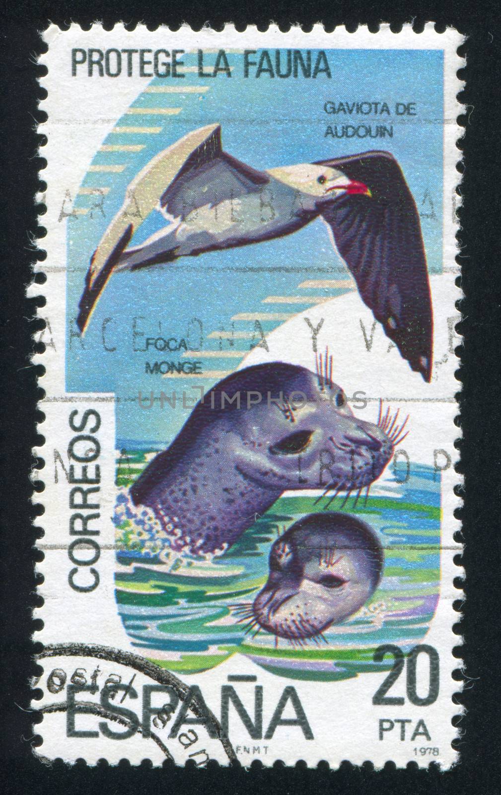 SPAIN - CIRCA 1978: stamp printed by Spain, shows Sea gulls and seals, circa 1978