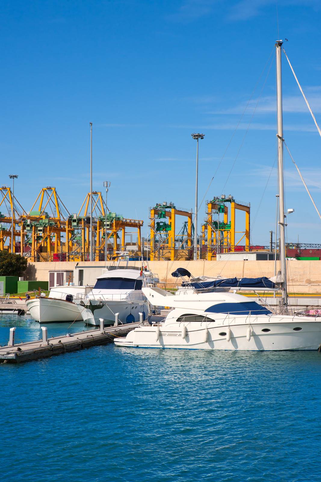 Valencia city Marina and port cranes in background at spain