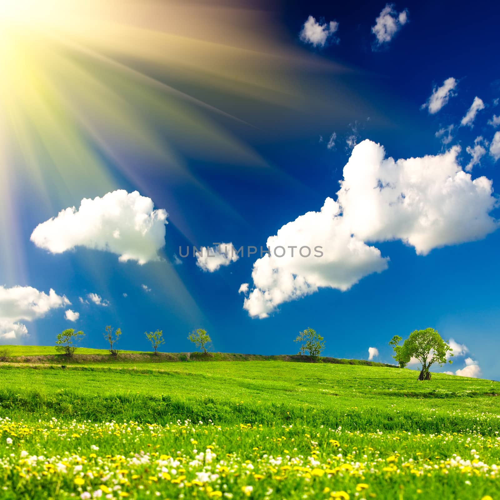 Green meadows over blue sky and sunlight