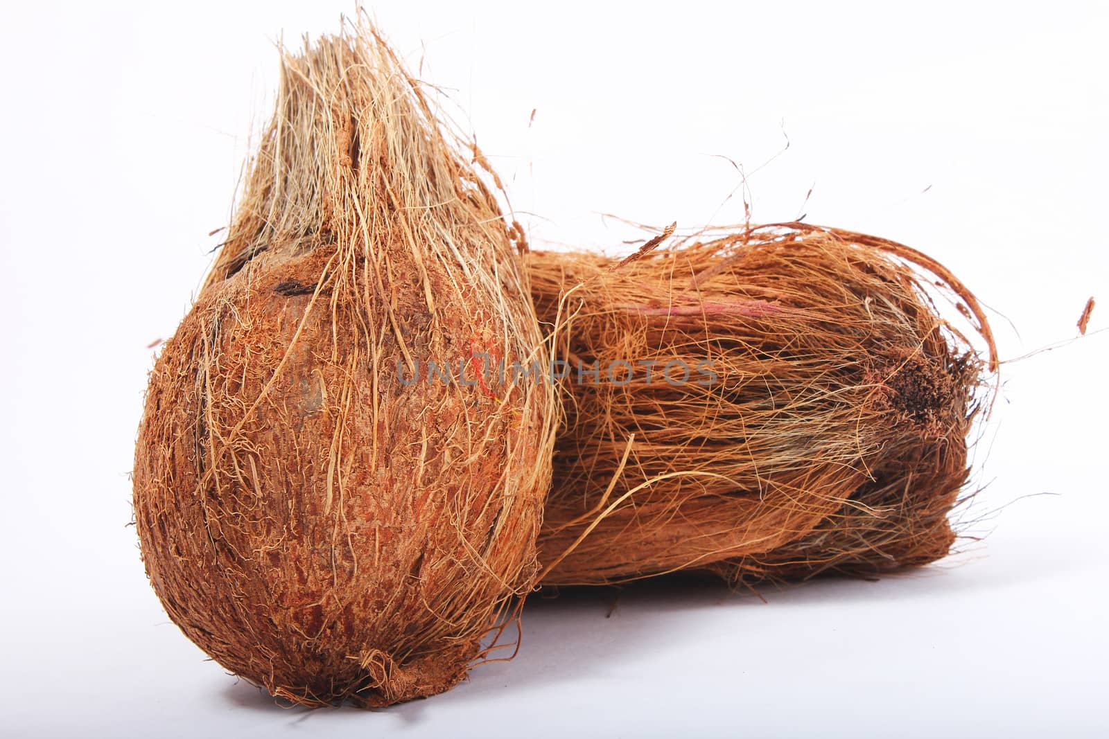 two coconut on isolated background