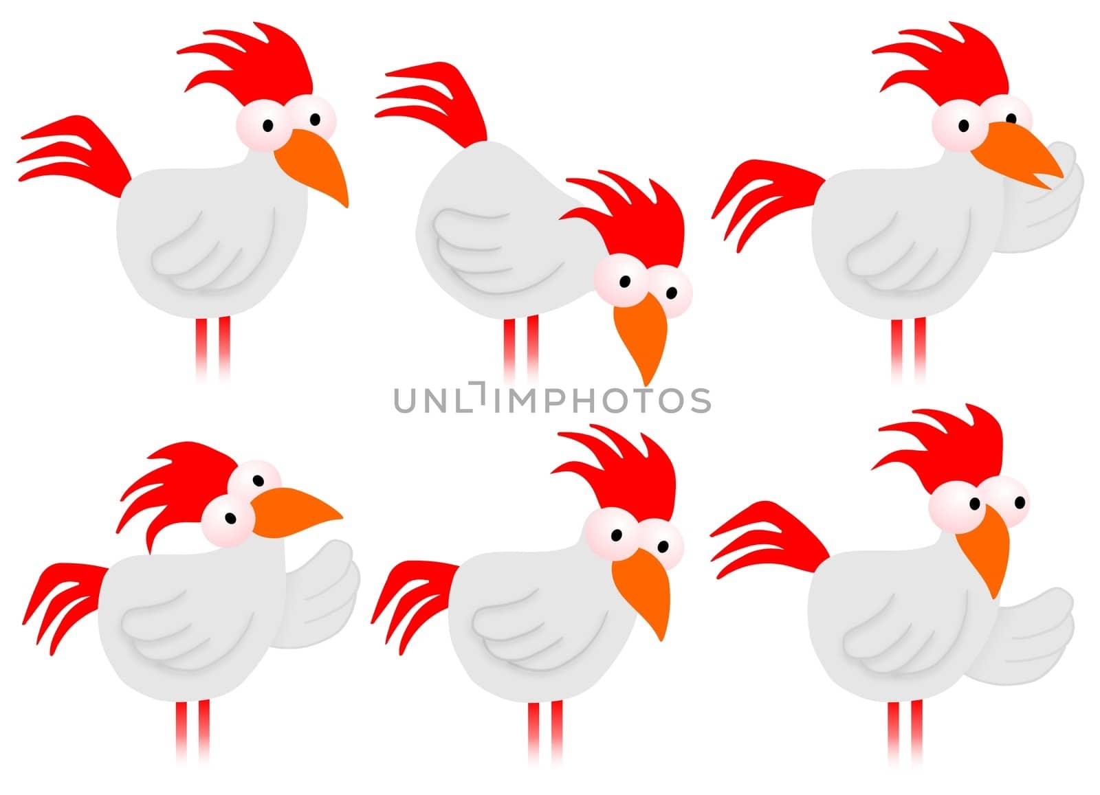 Illustration of a chicken in six positions