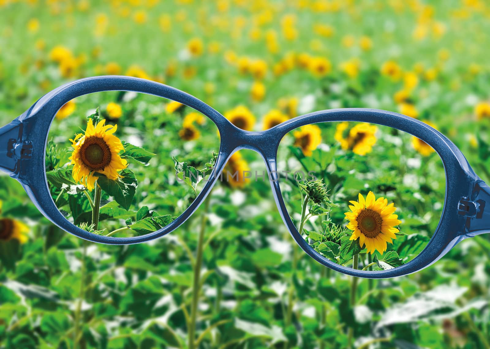View from reading eyeglasses on beautiful nature view by Discovod