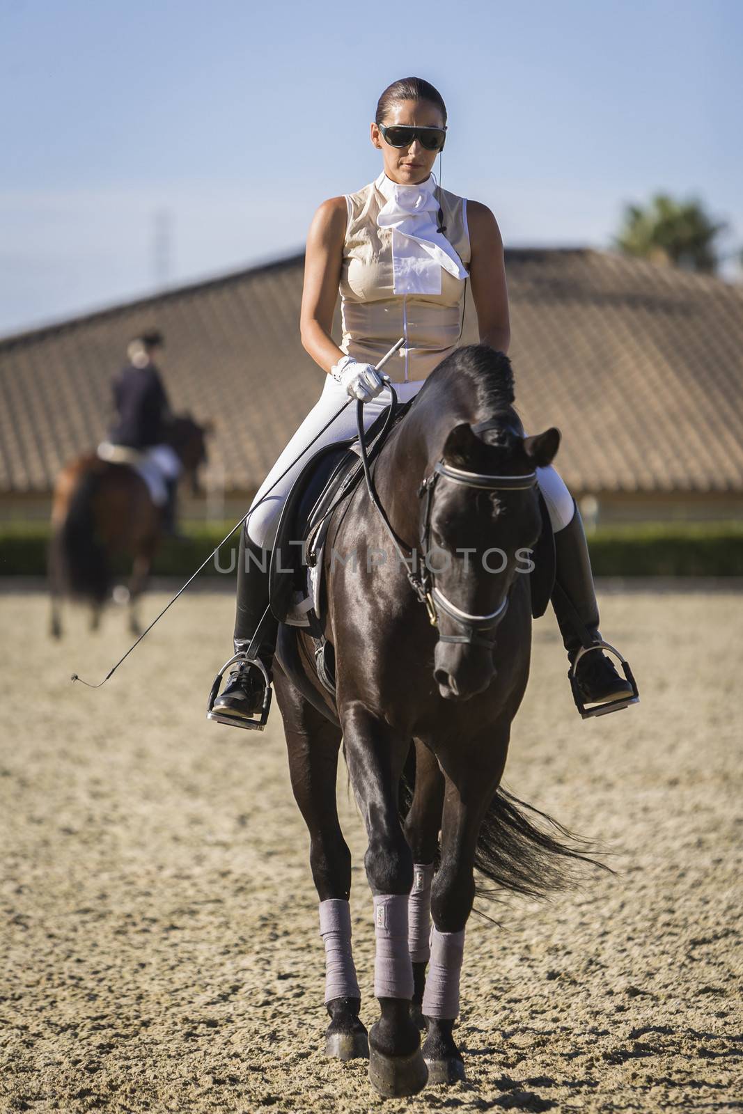 Estepona, malaga province, SPAIN - 4 july 2009: Beautiful Amazon training during an exercise of equestrian morphology of horses of pure Spanish race in Estepona, Malaga province, Andalusia, Spain