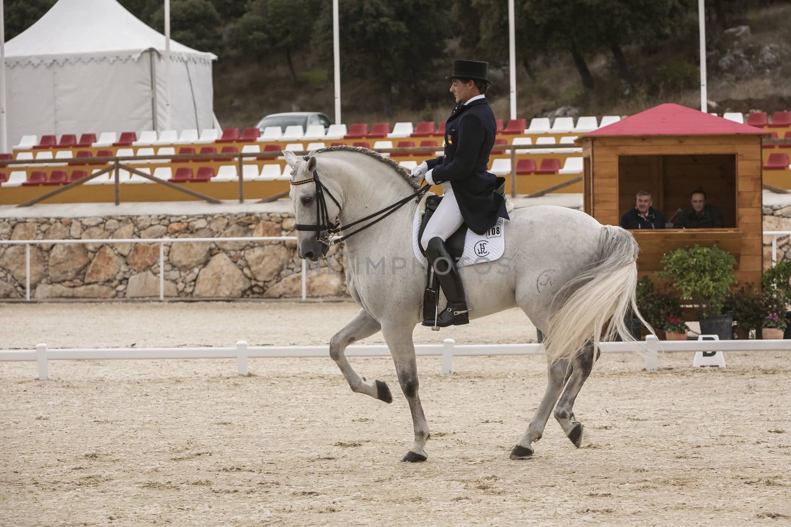 Valdepeñas de Jaen, Jaen province, SPAIN - 10 october 2008: Spanish purebred horse competing in dressage competition classic in La Beata, mounted by Spanish Olympic champion Jose manuel Muñoz,  Valdepeñas de jaen, Jaen province, Andalusia, Spain