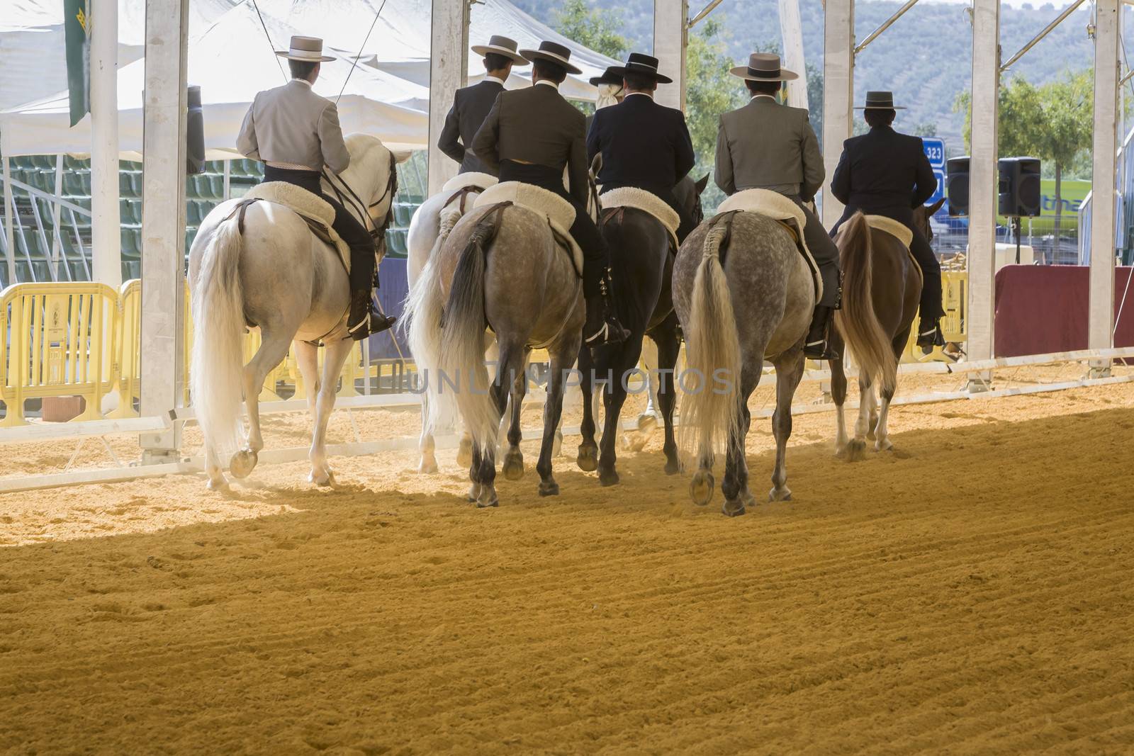 Andujar, Jaen procince, SPAIN - 20 september 2008: Riders on horseback during a contest of pure breed Spanish horses morphological in Andujar, Jaen province, Andalusia, Spain