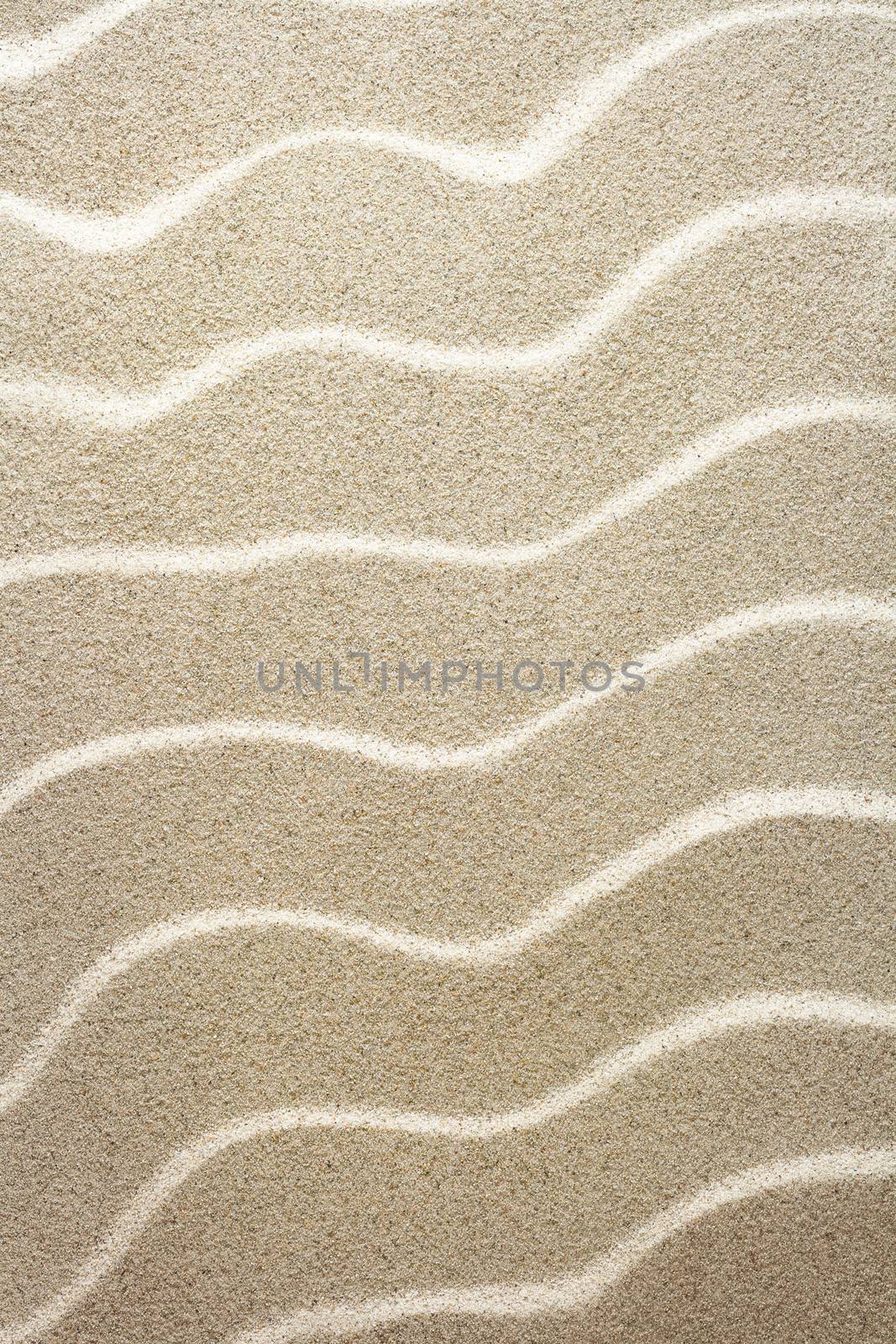 Sandy beach texture for background. Top view