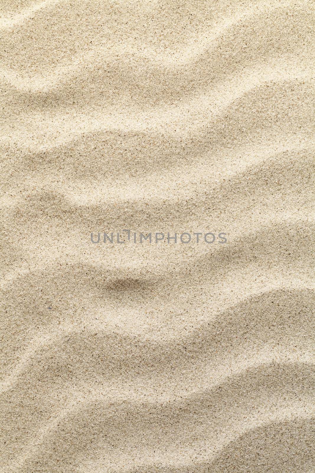 Sandy beach texture for background. Top view