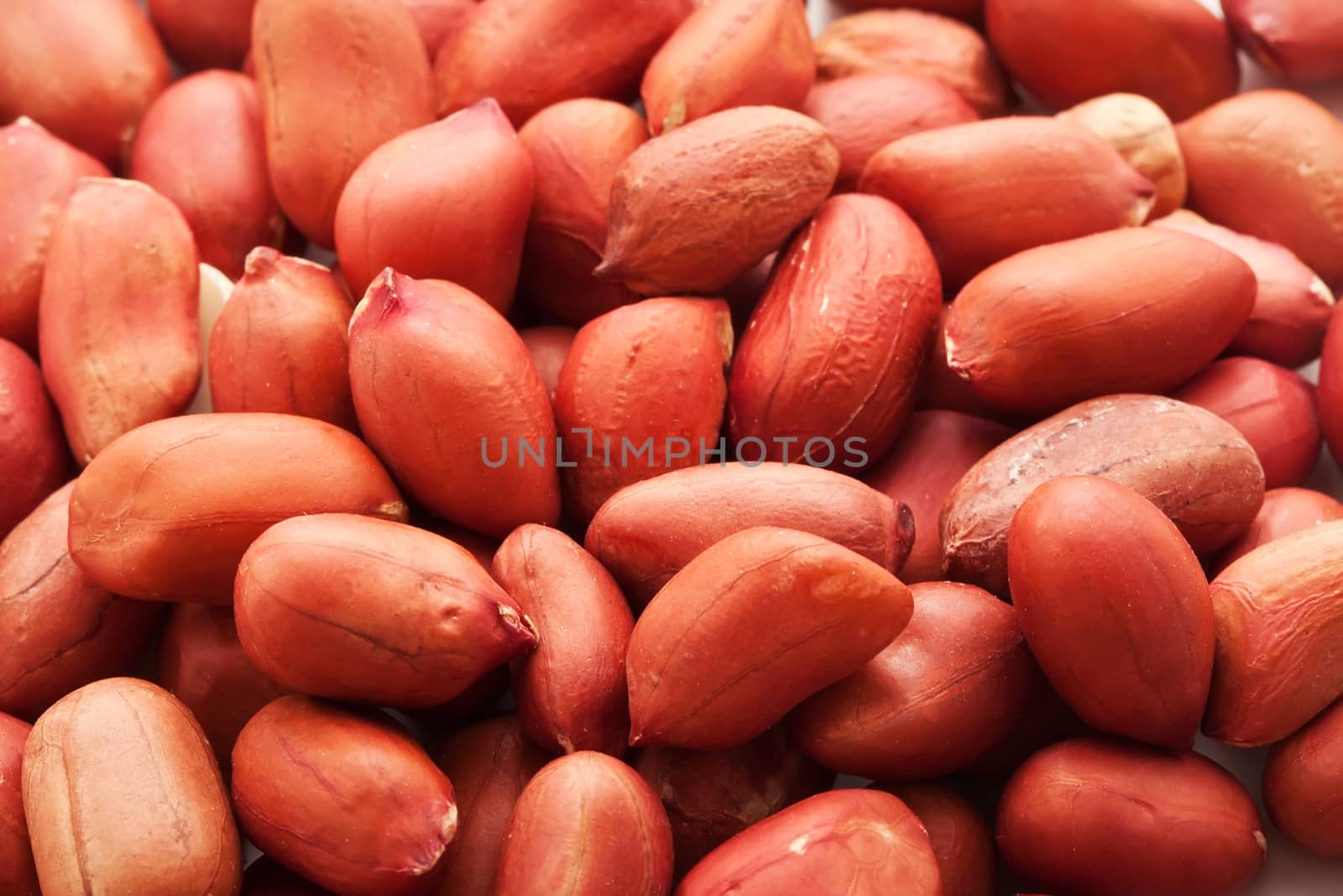Fresh peanut kernels, can be used  for backgrounds