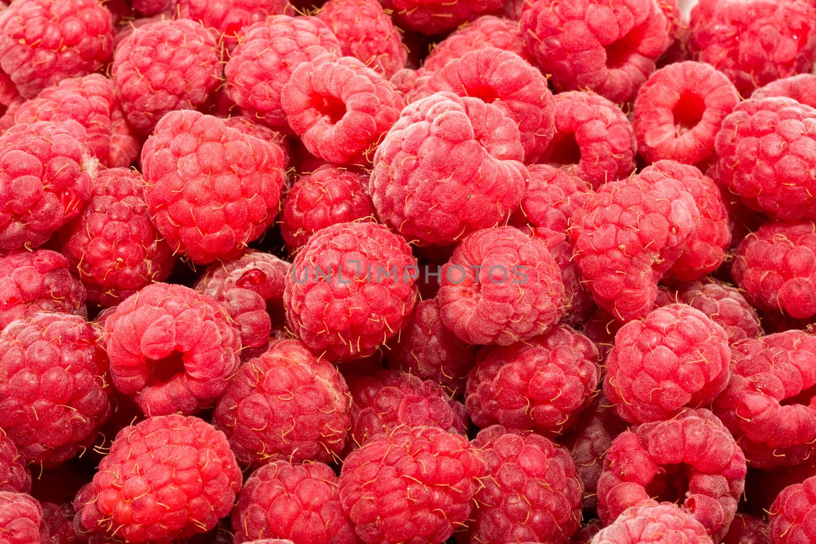 Many fresh red raspberries making beautiful background