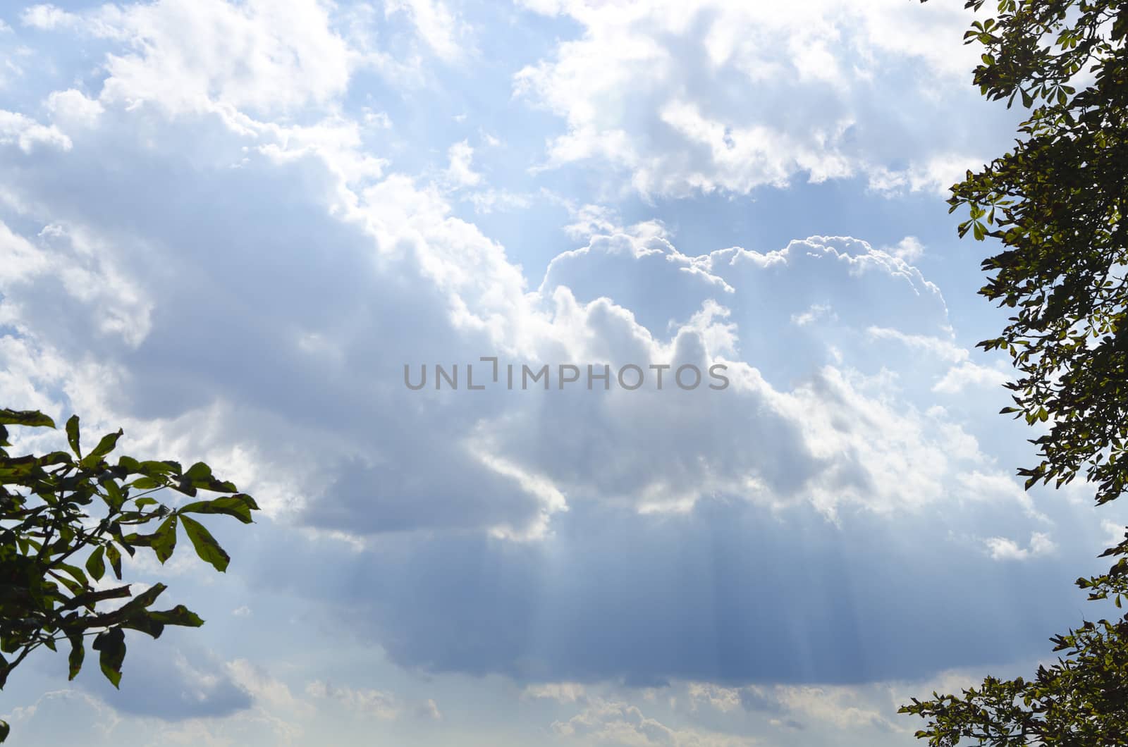 scenery of clouds with rays of light coming down through them seen through branches