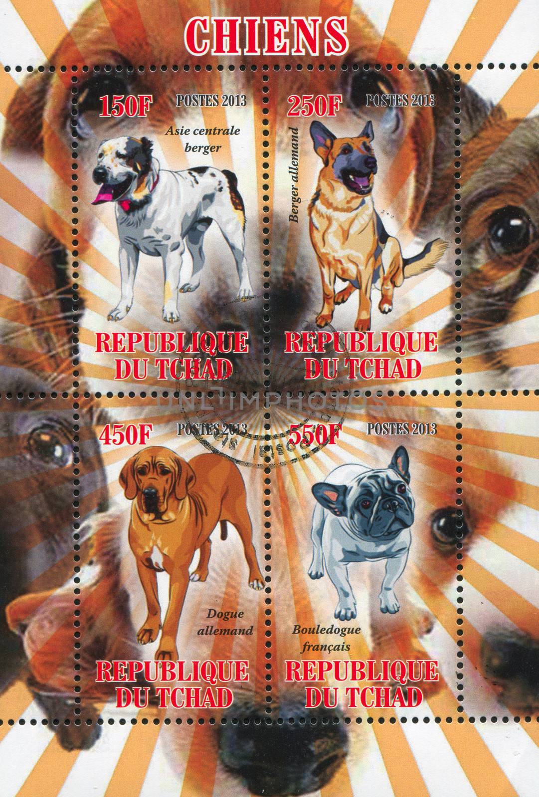 CHAD - CIRCA 2013: stamp printed by Chad, shows dog, circa 2013
