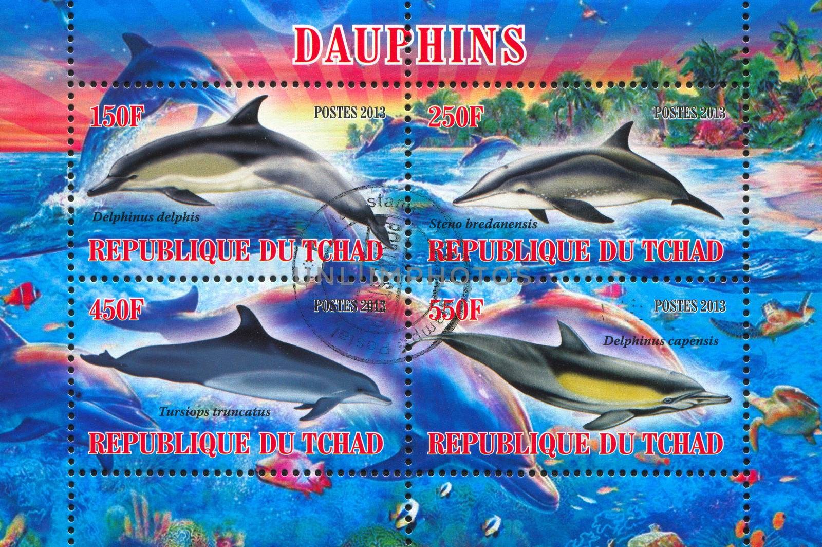 CHAD - CIRCA 2013: stamp printed by Chad, shows dolphin, circa 2013